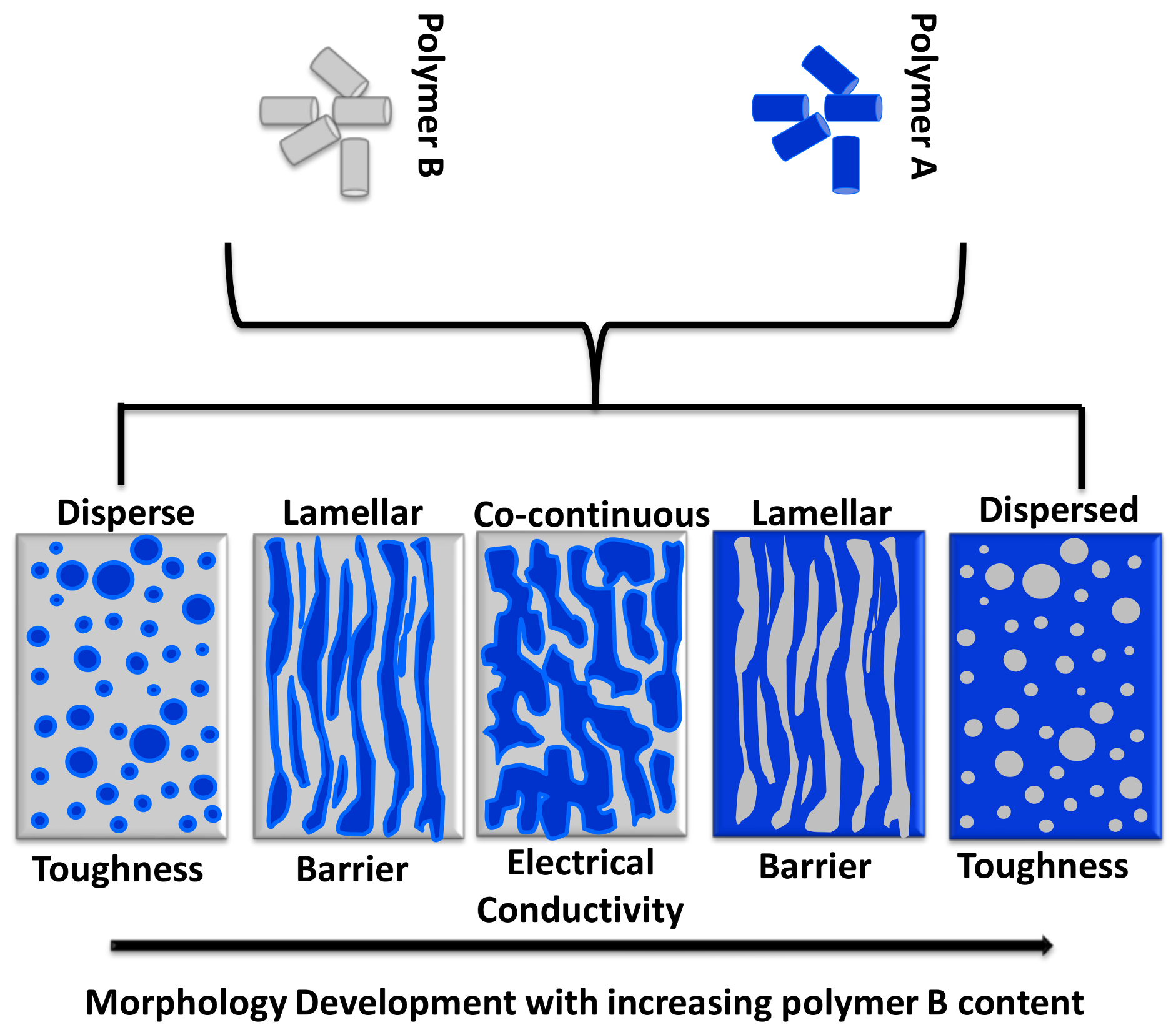 Polymers 13 00230 g001