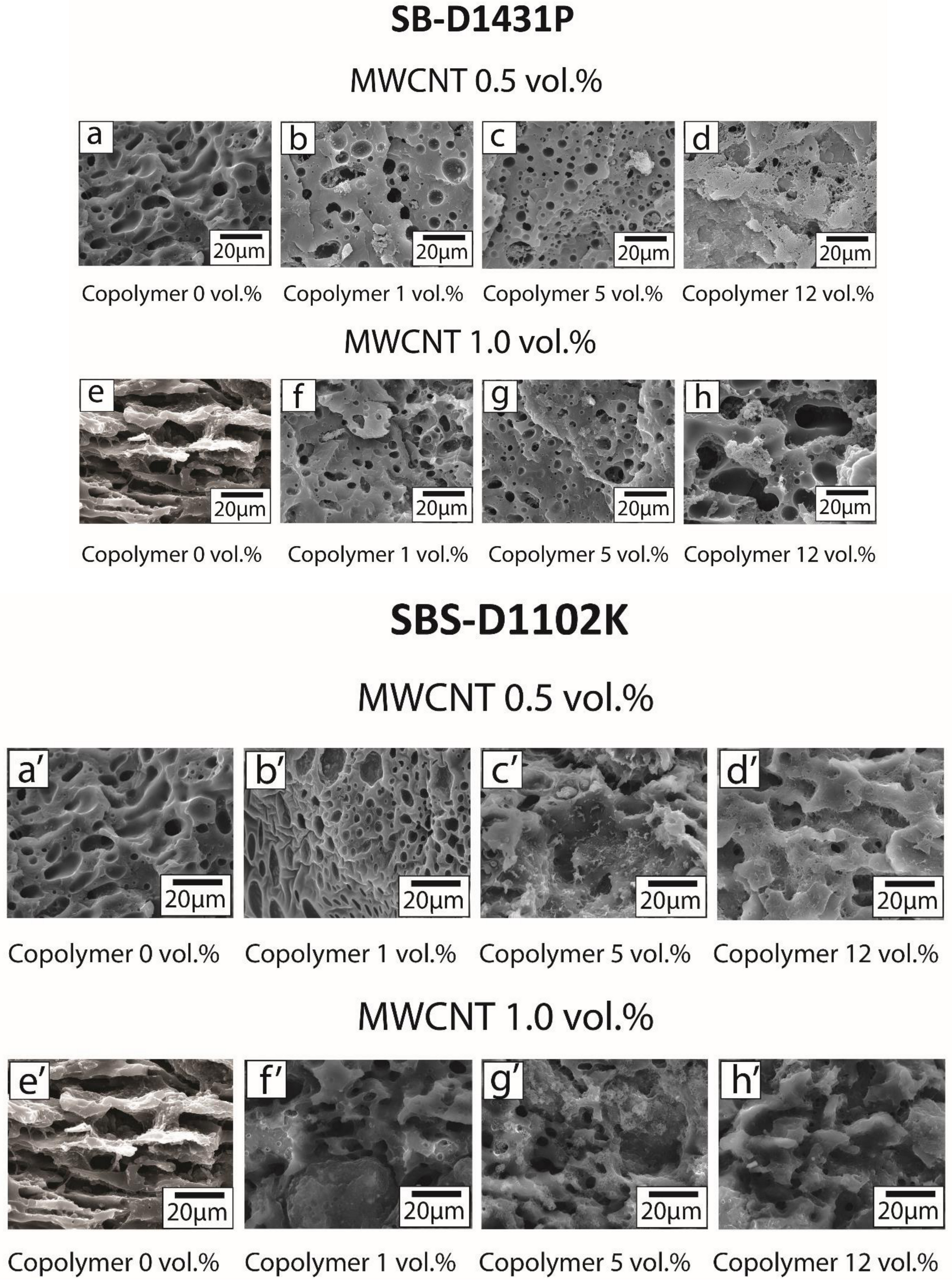 Polymers 13 00230 g006a