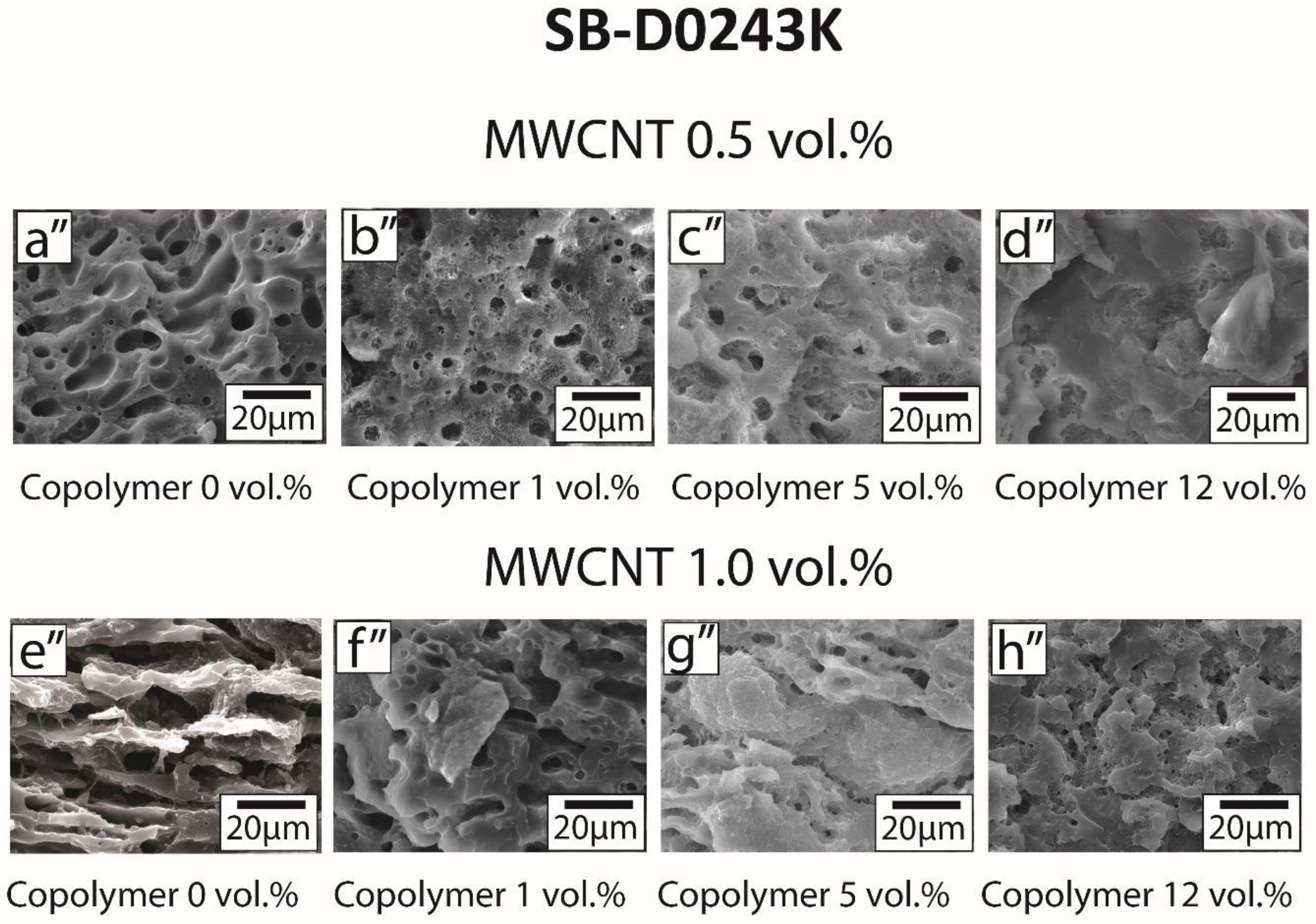 Polymers 13 00230 g006b
