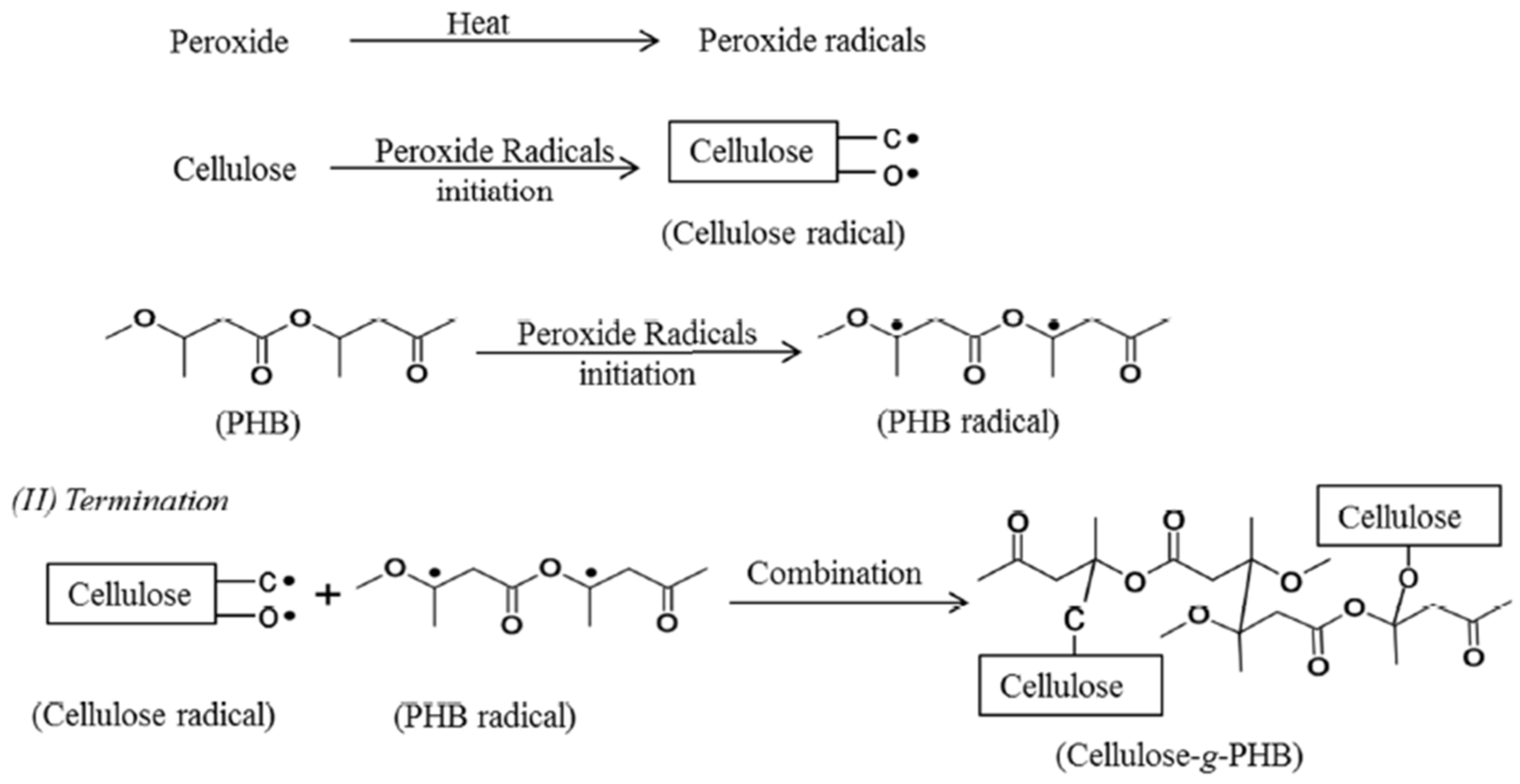 Polymers 13 00231 g003