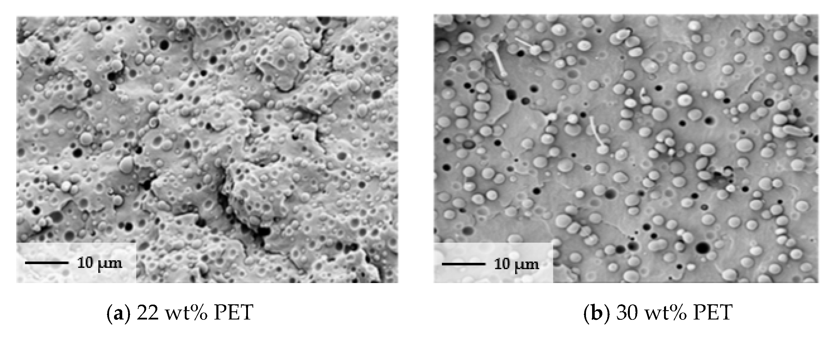 Polymers 13 00233 g004a