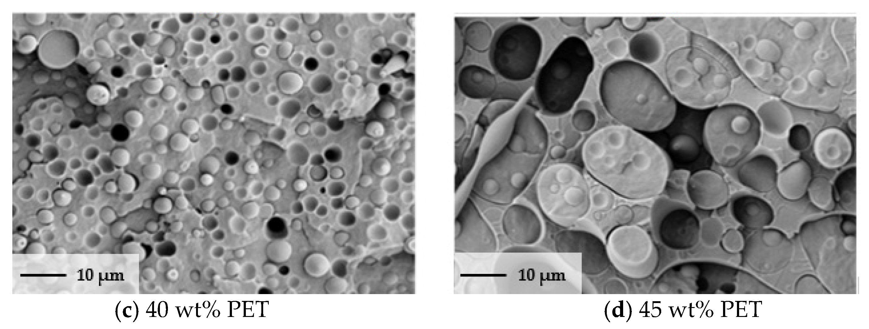 Polymers 13 00233 g004b