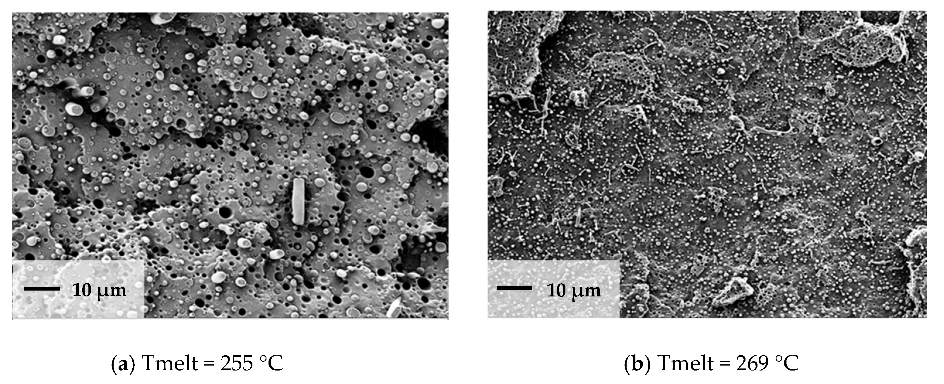 Polymers 13 00233 g009