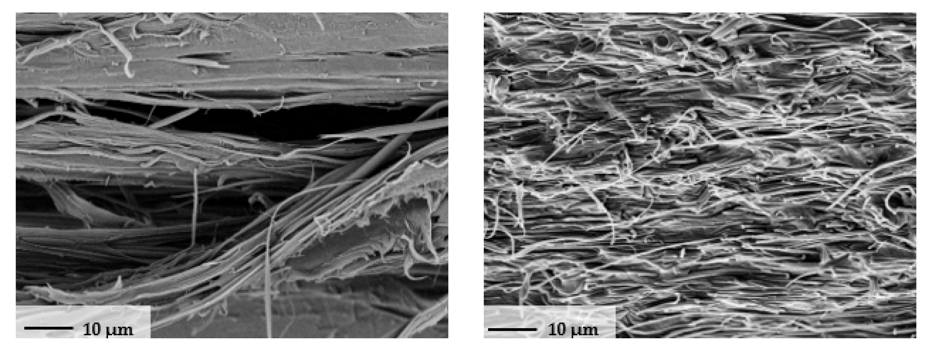 Polymers 13 00233 g012
