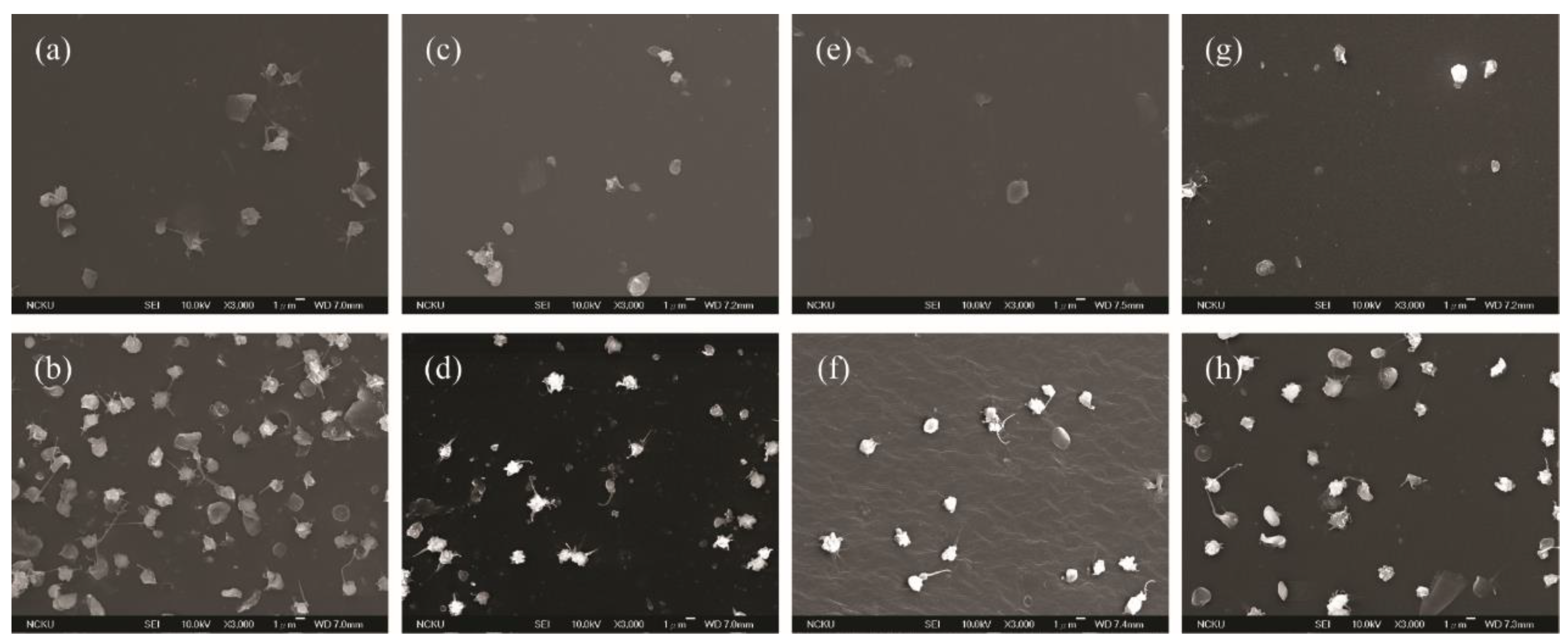 Polymers 13 00235 g007