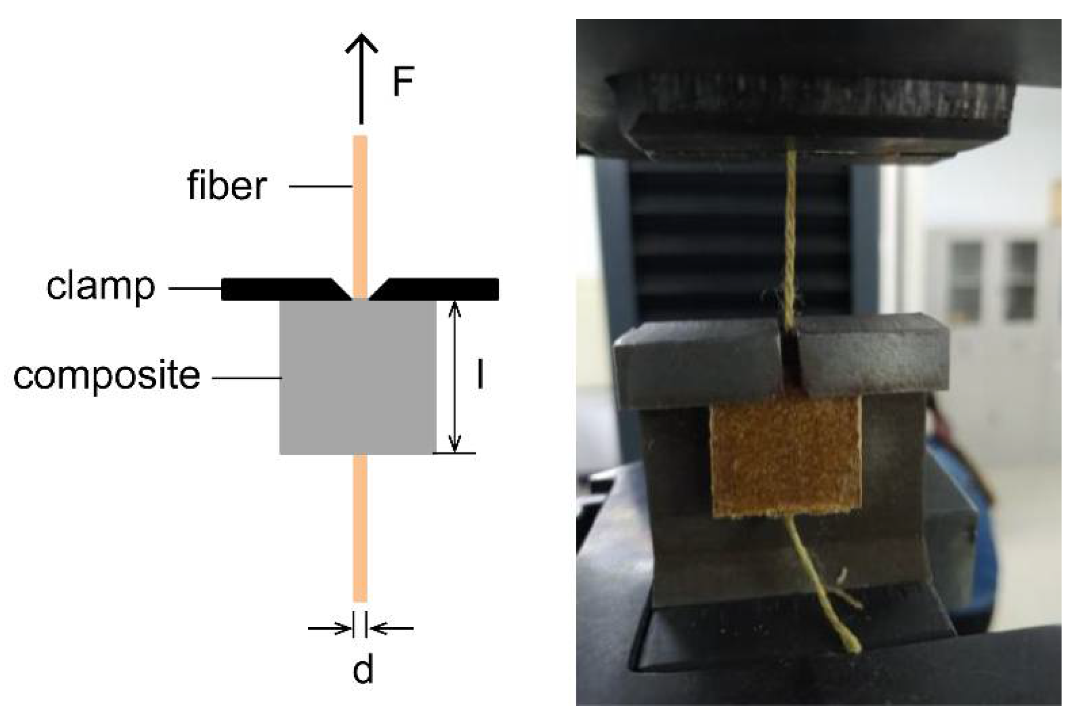 Polymers 13 00236 g002 Polymers 13 00236 g002