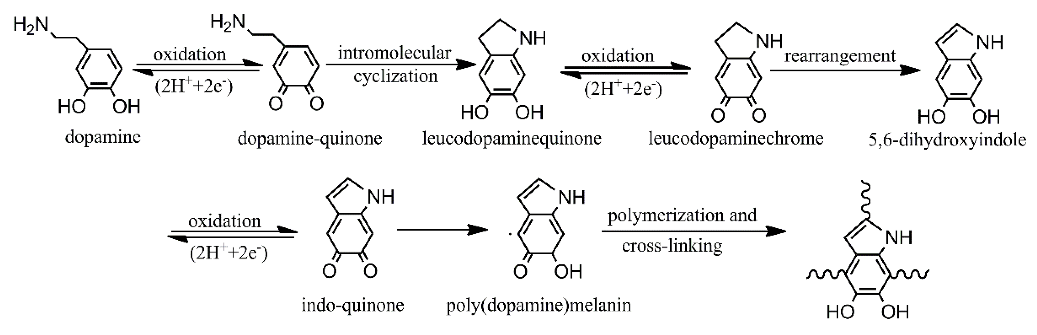 Polymers 13 00236 g004 Polymers 13 00236 g004