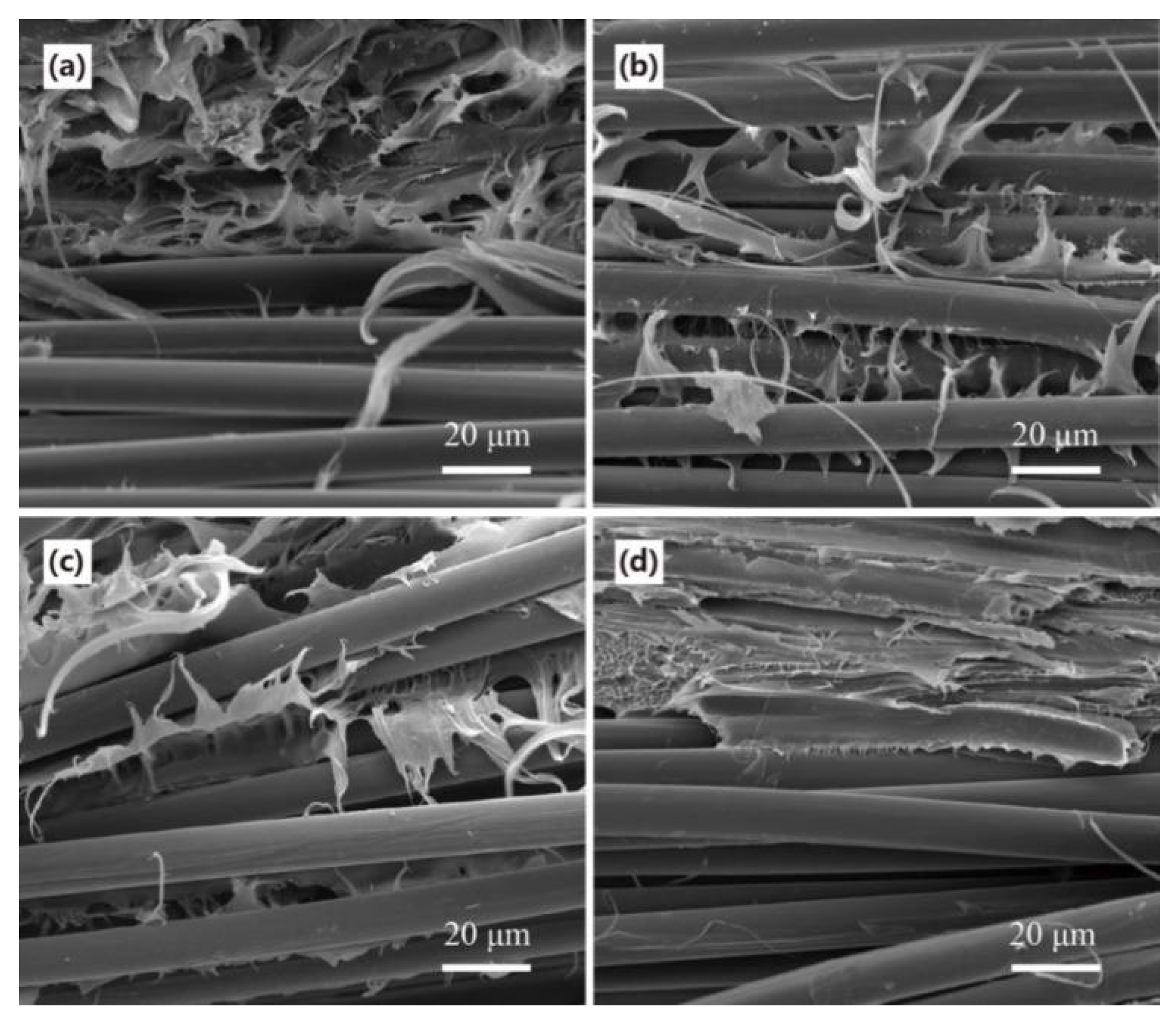 Polymers 13 00236 g008 Polymers 13 00236 g008