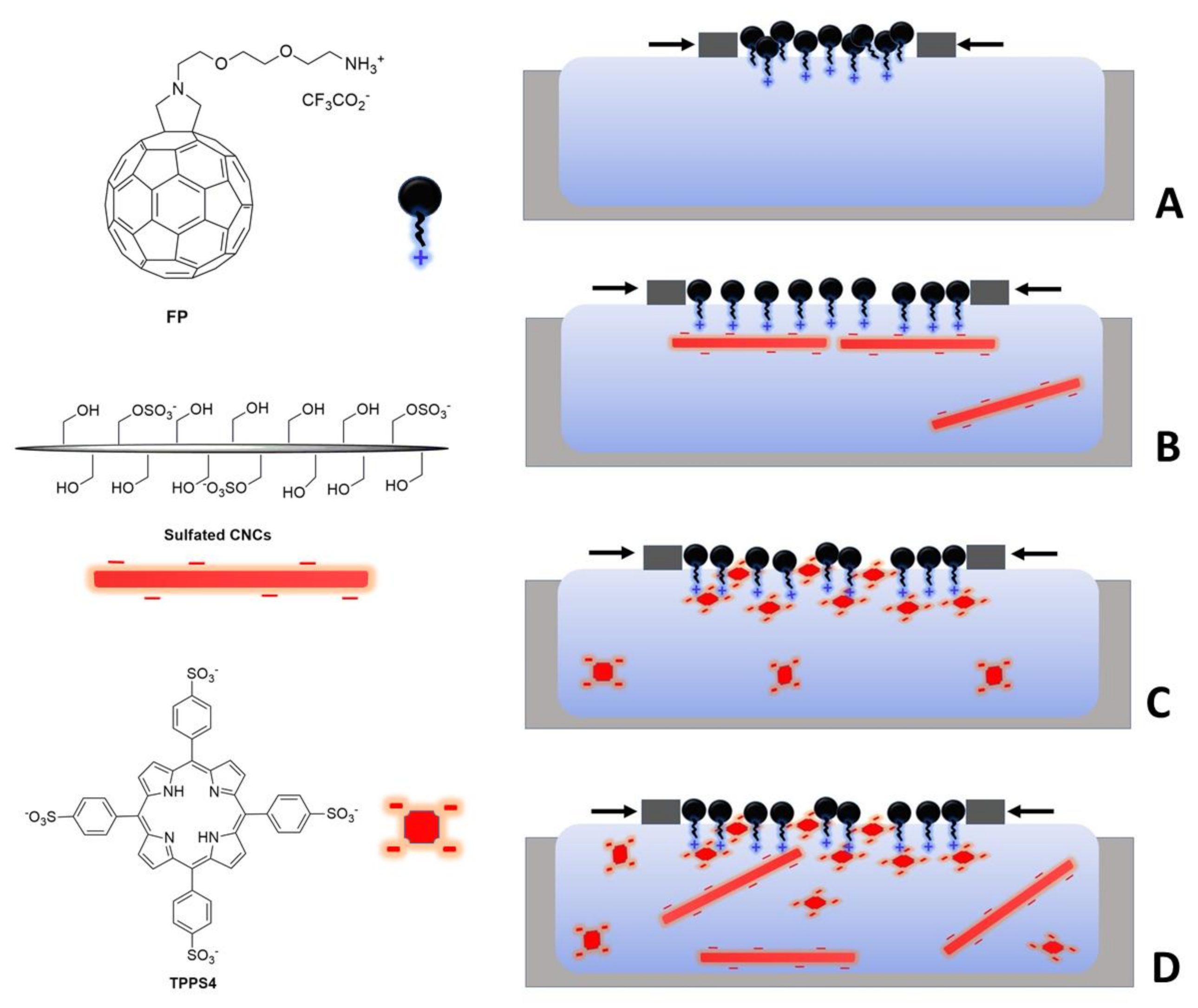 Polymers 13 00243 g001 Polymers 13 00243 g001