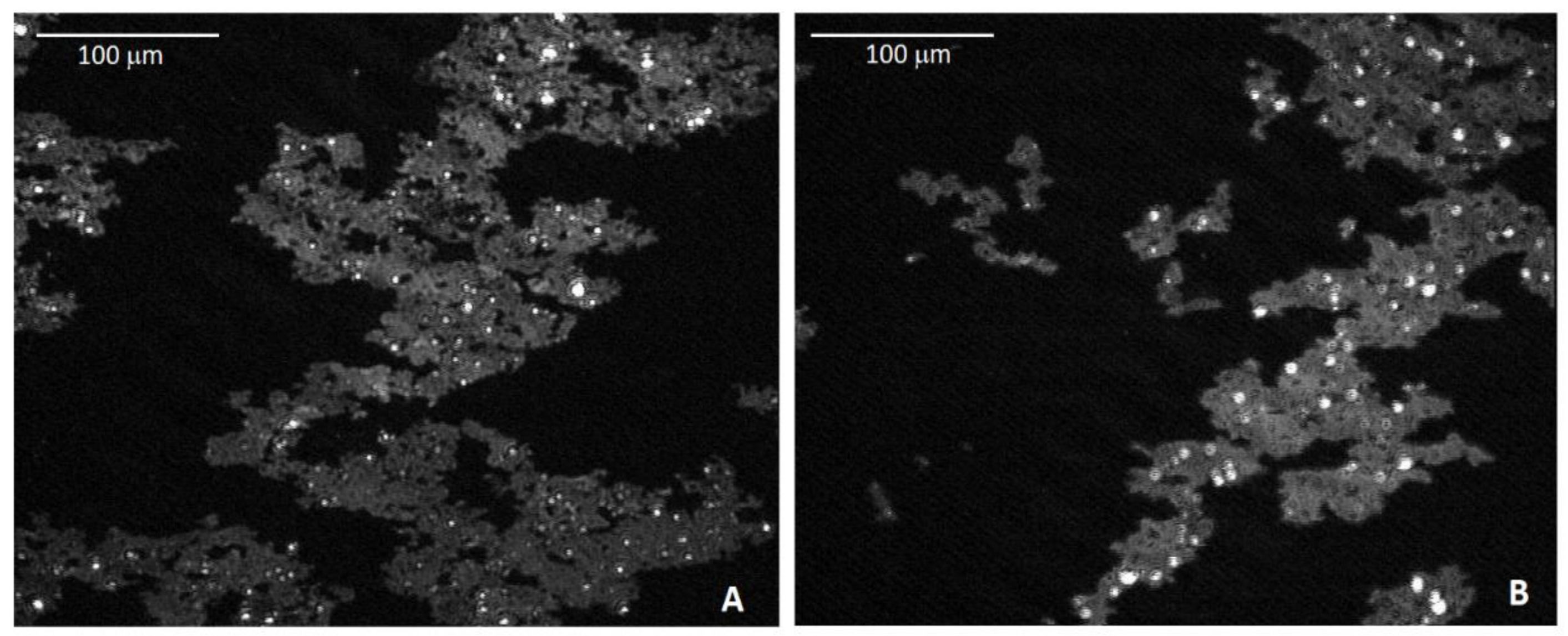 Polymers 13 00243 g003 Polymers 13 00243 g003