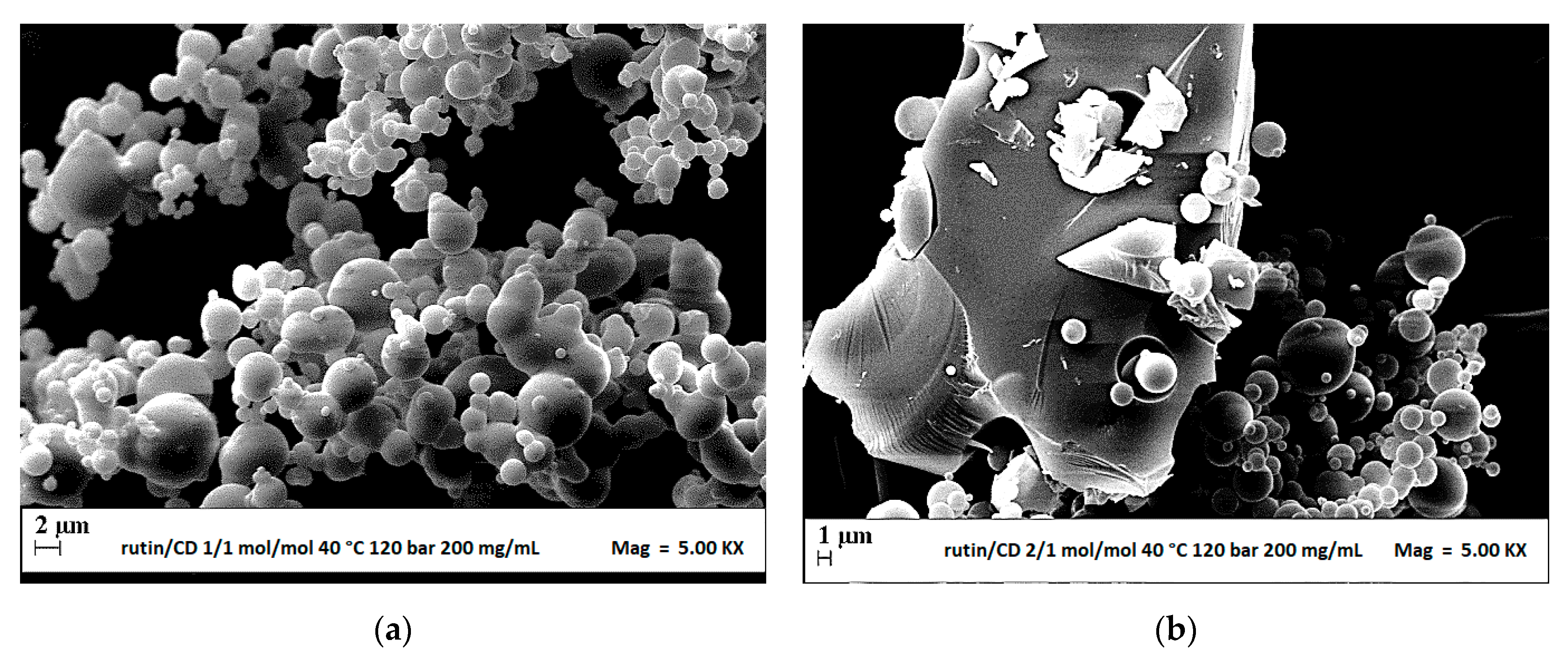 Polymers 13 00246 g006