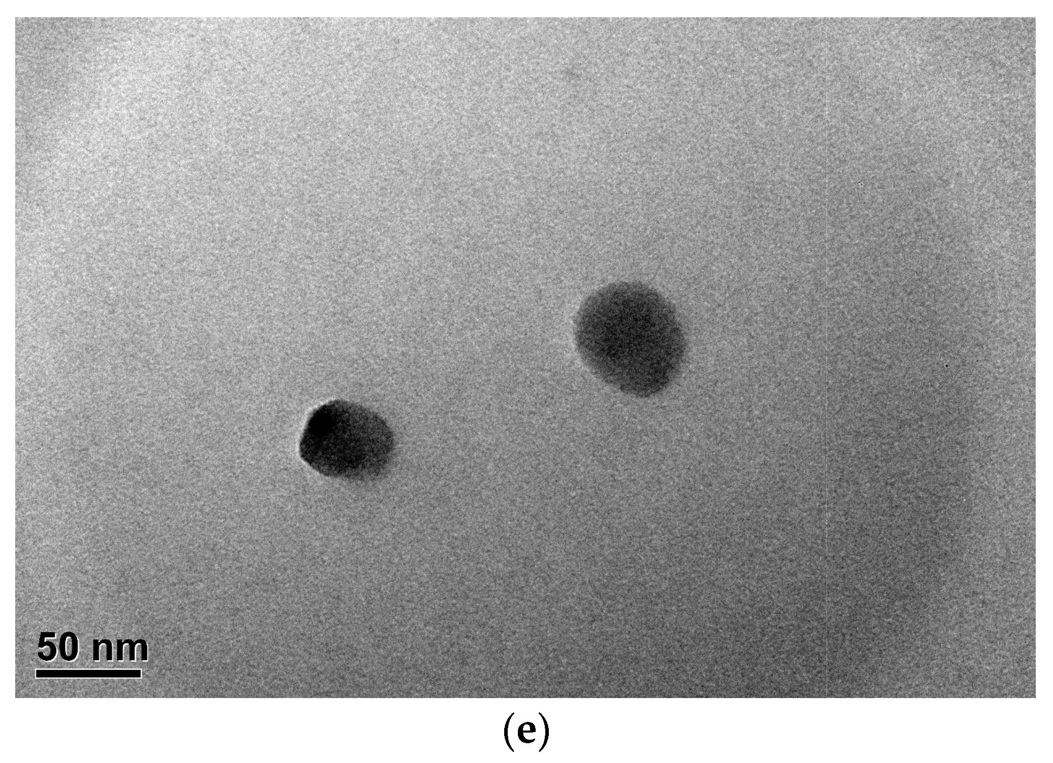 Polymers 13 00252 g004b