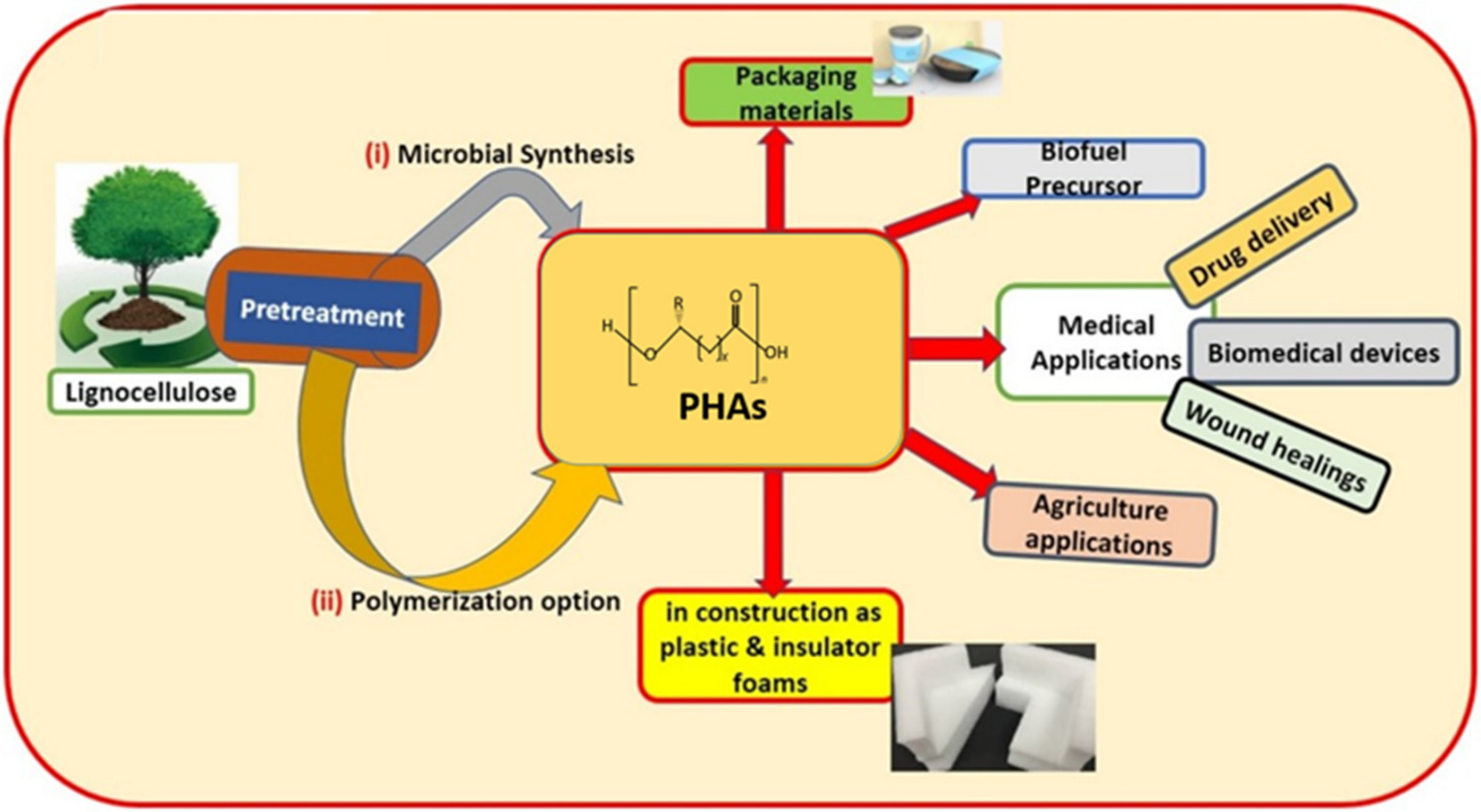 Polymers 13 00253 g001