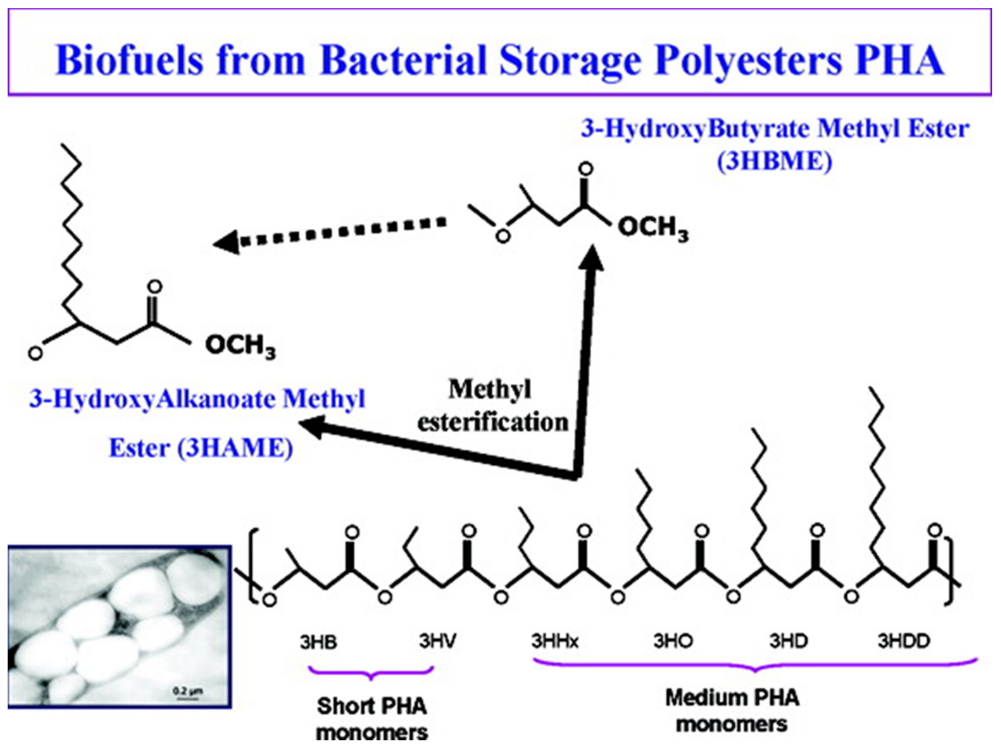 Polymers 13 00253 g008