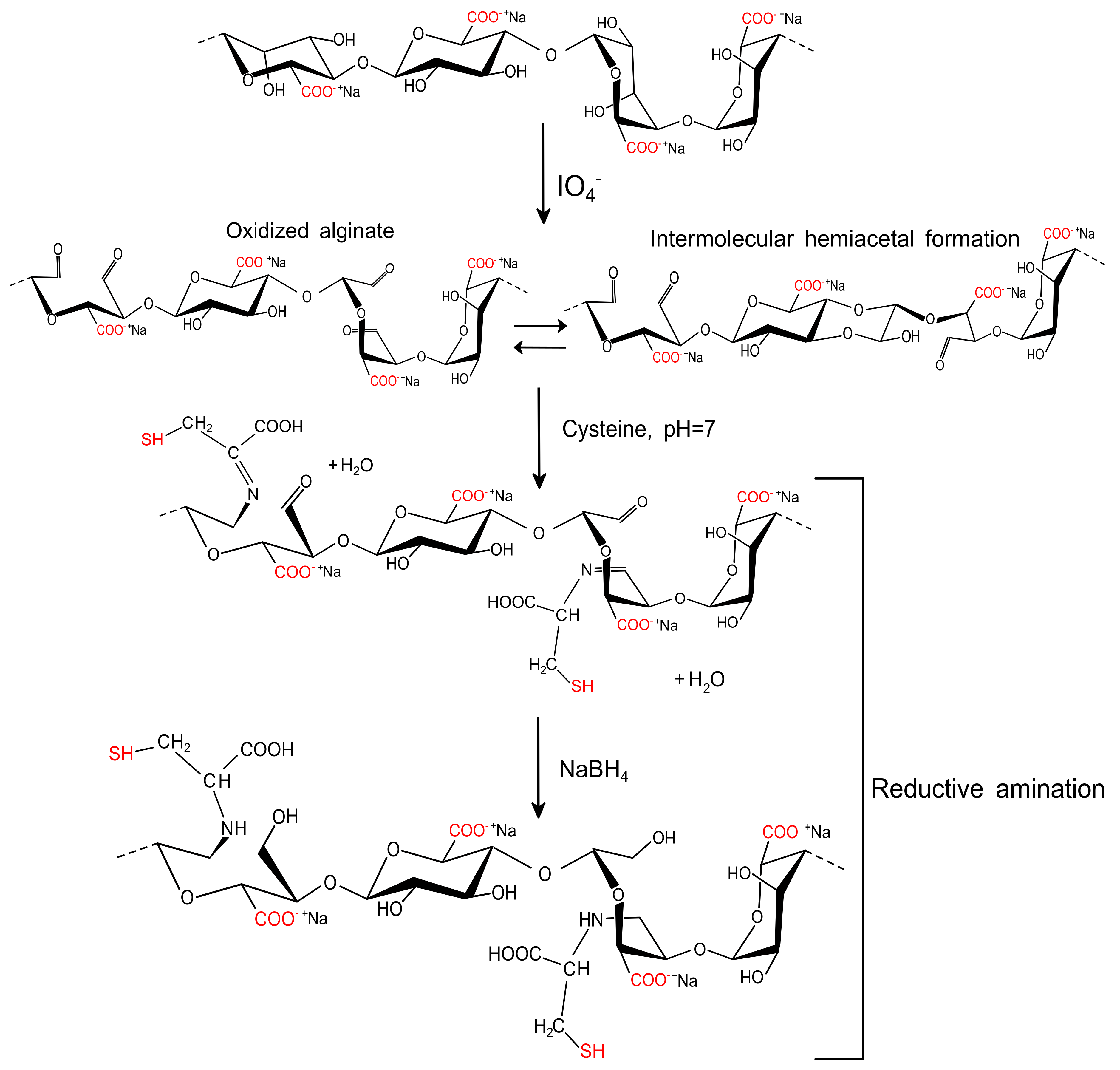Polymers 13 00255 g002