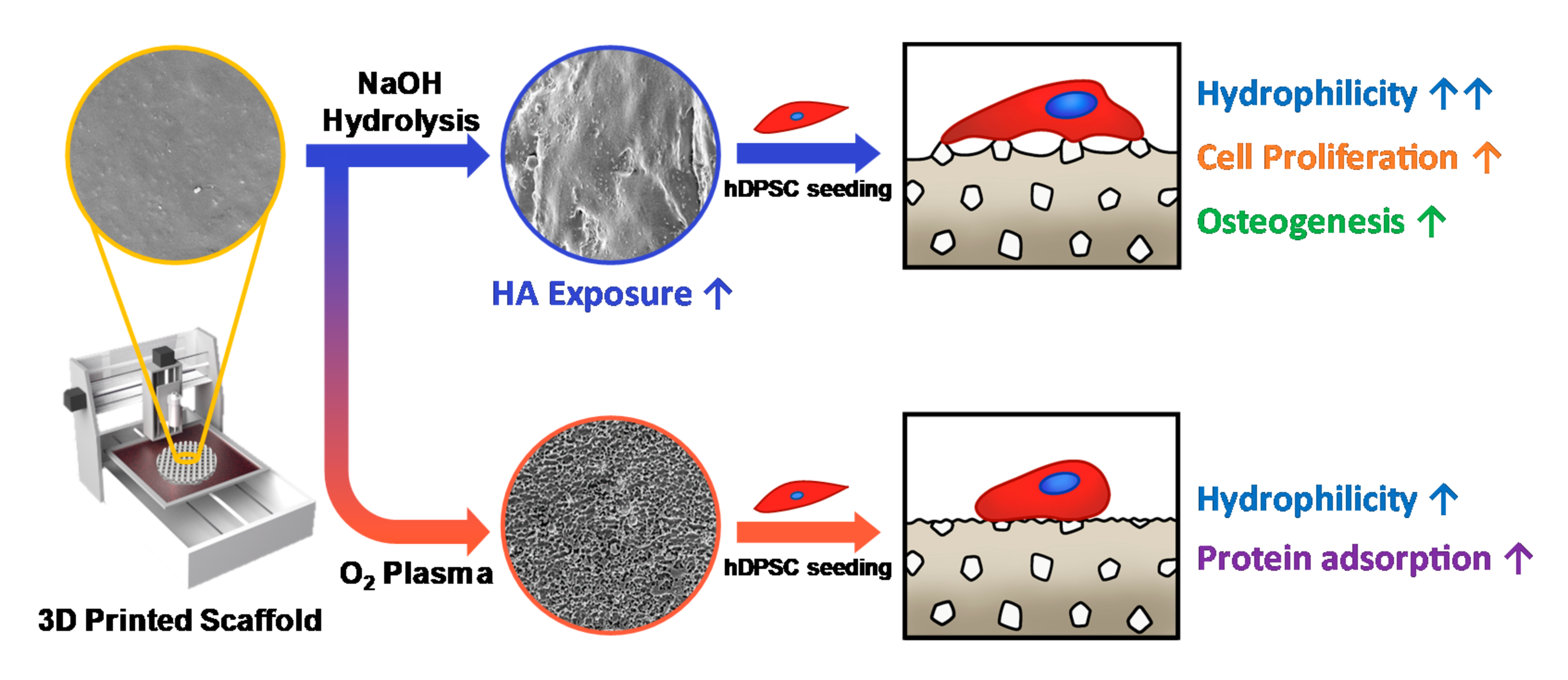 Polymers 13 00257 g001 Polymers 13 00257 g001