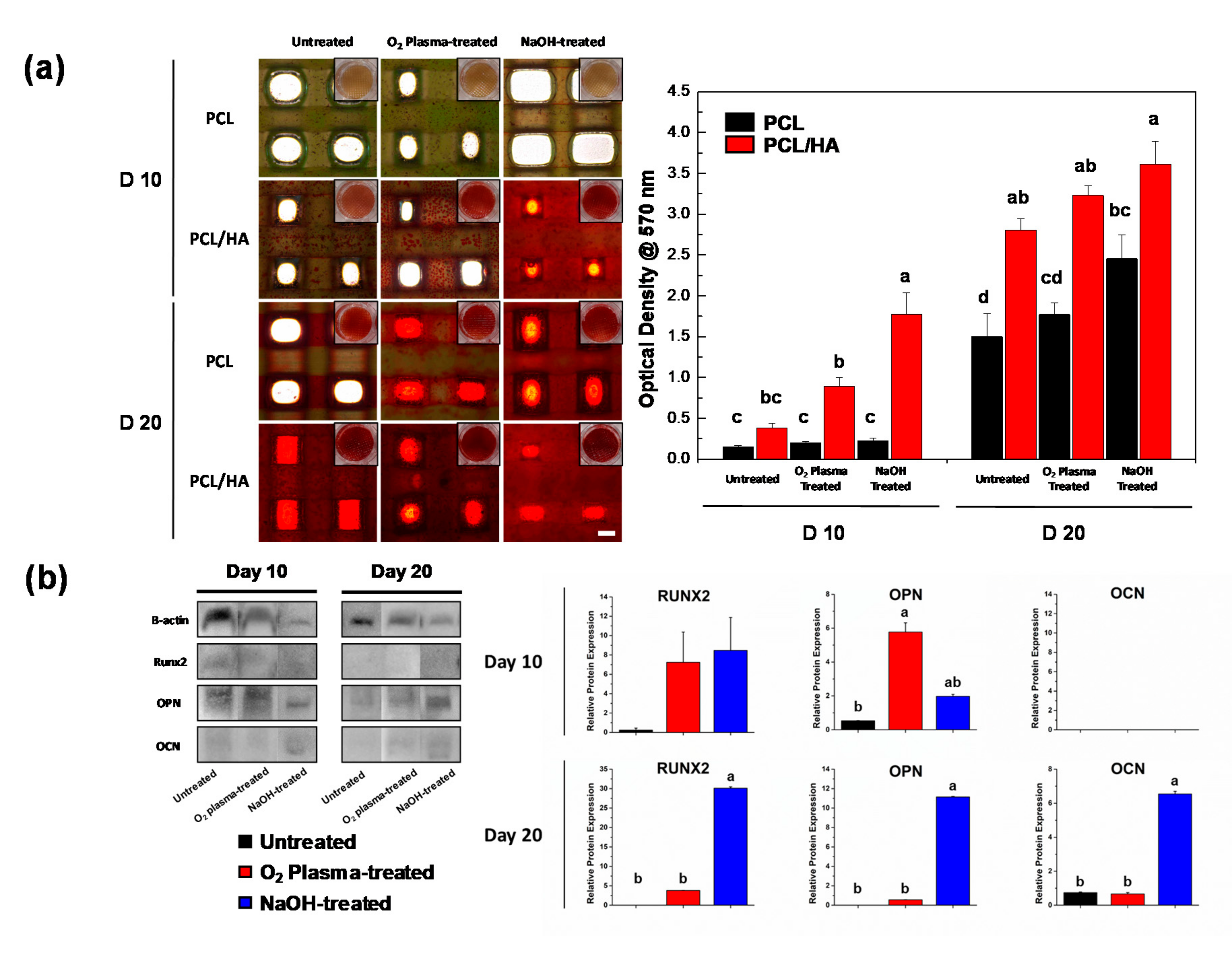 Polymers 13 00257 g004 Polymers 13 00257 g004