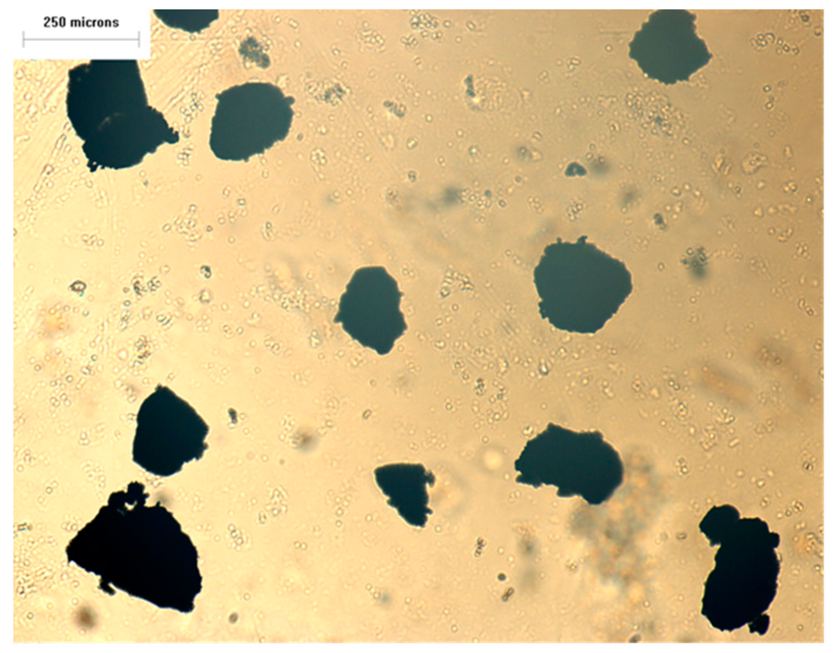 Polymers 13 00259 g016