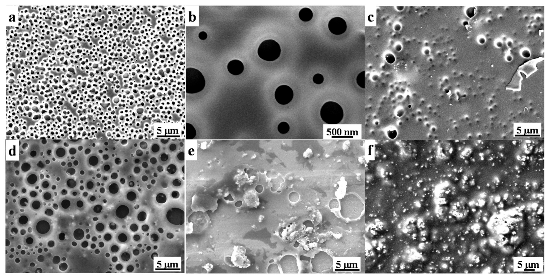 Polymers 13 00262 g002 Polymers 13 00262 g002