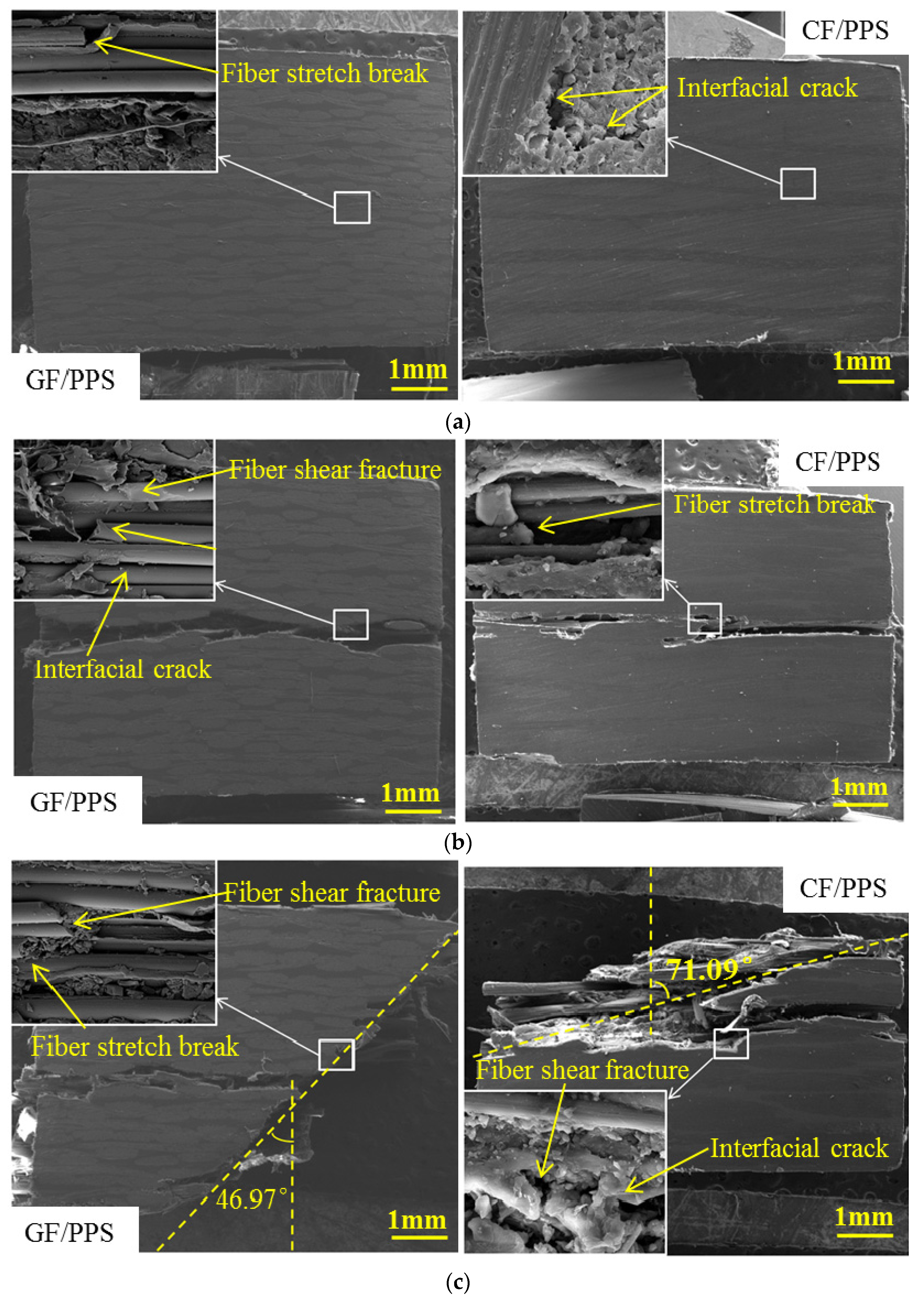 Polymers 13 00264 g009a Polymers 13 00264 g009a