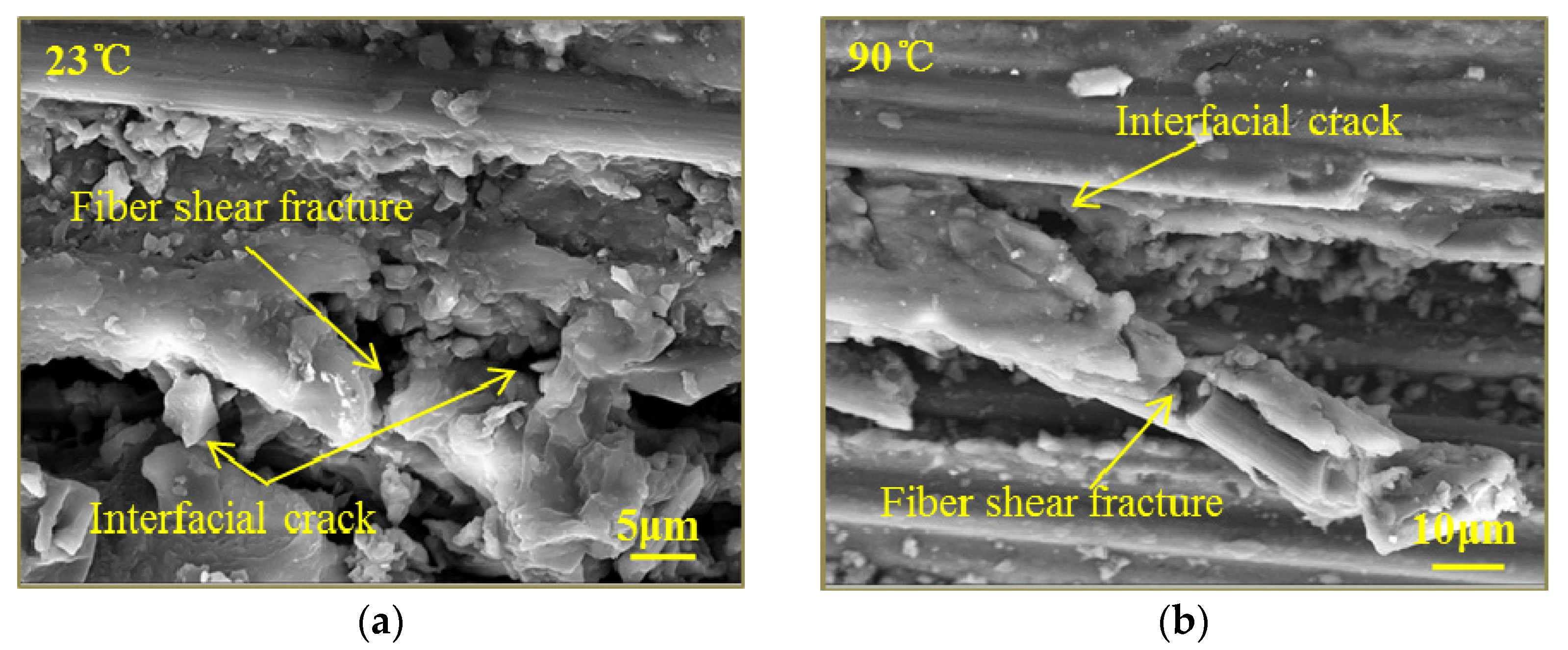 Polymers 13 00264 g011a Polymers 13 00264 g011a