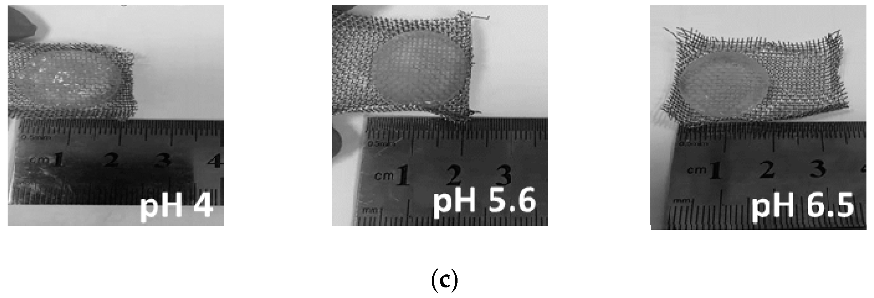 Polymers 13 00266 g006b
