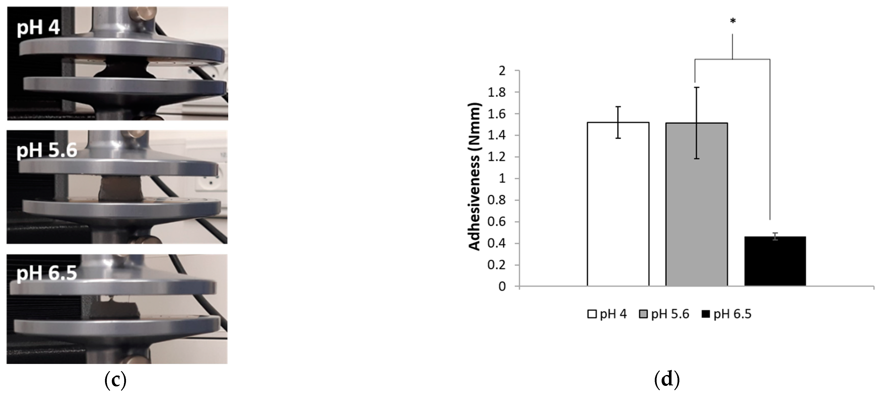 Polymers 13 00266 g008b