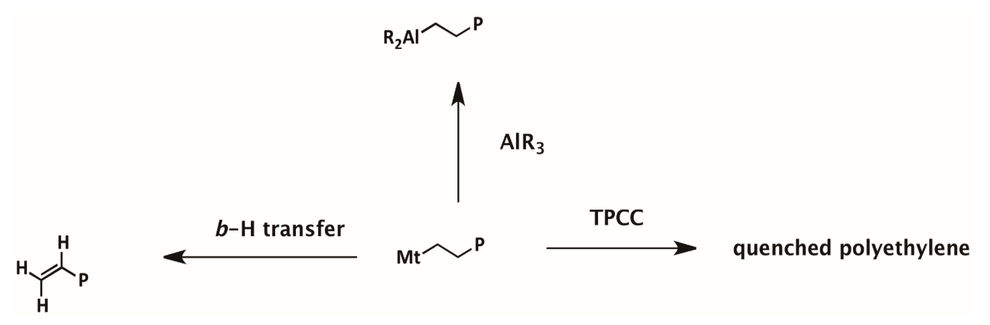 Polymers 13 00268 sch001