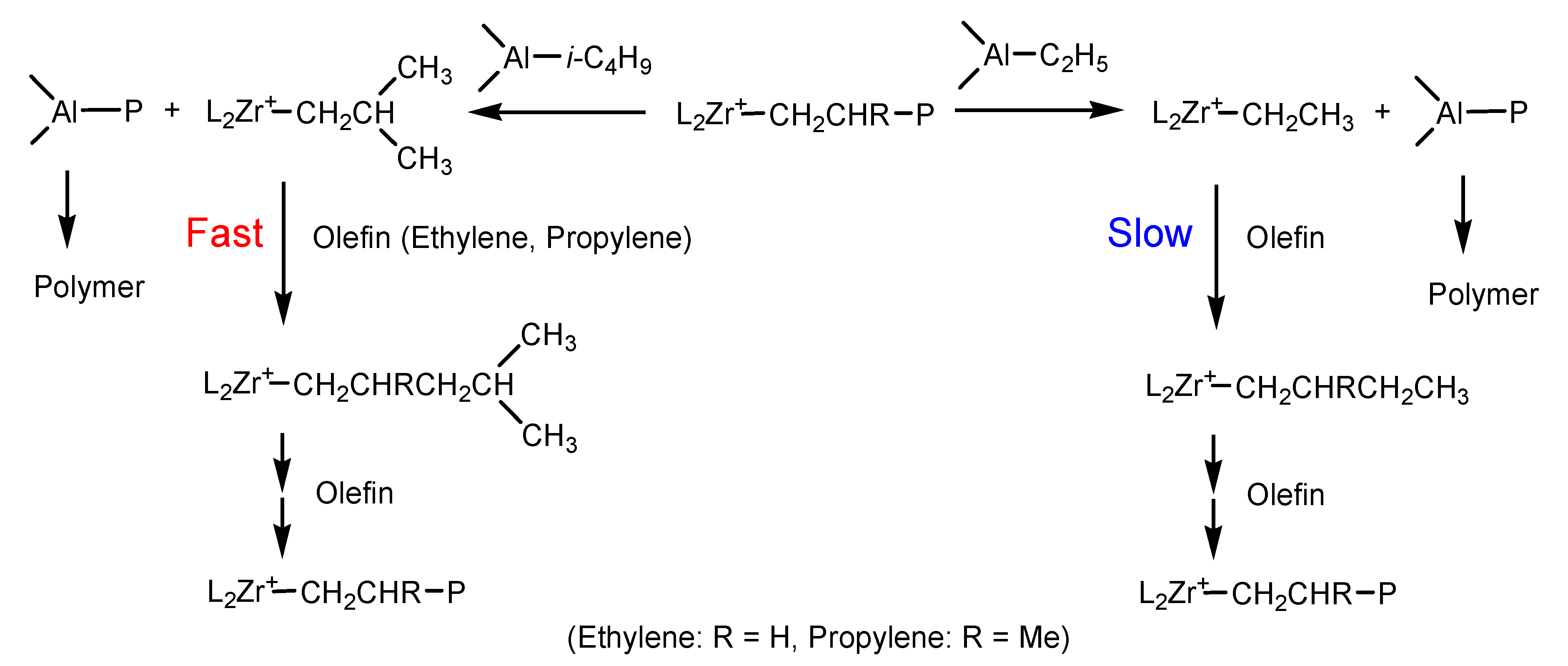 Polymers 13 00268 sch002