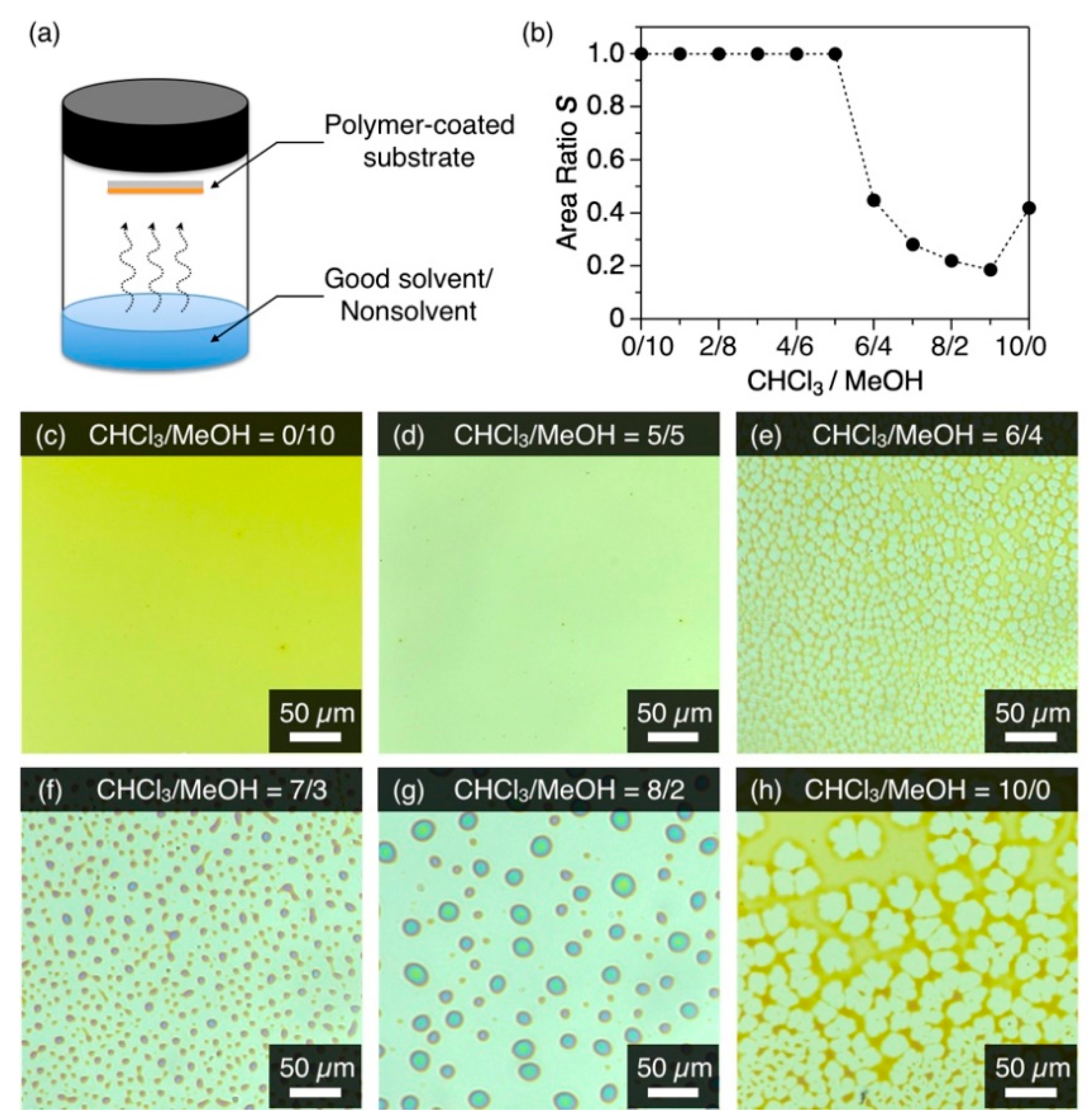 Polymers 13 00269 g002