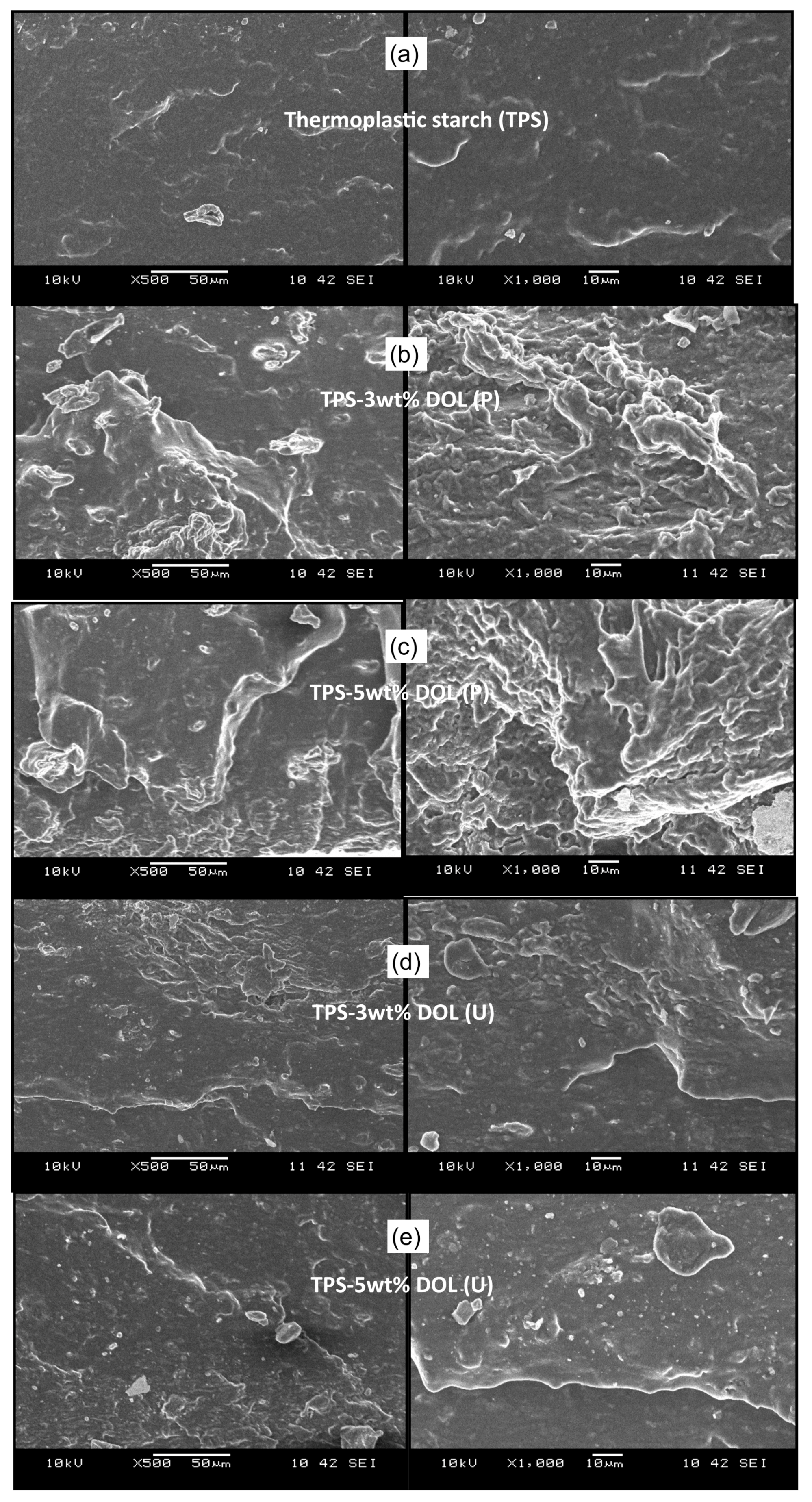 Polymers 13 00274 g014 Polymers 13 00274 g014