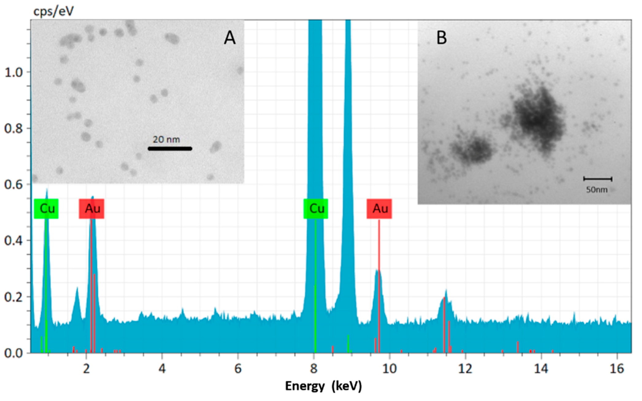 Polymers 13 00275 g003