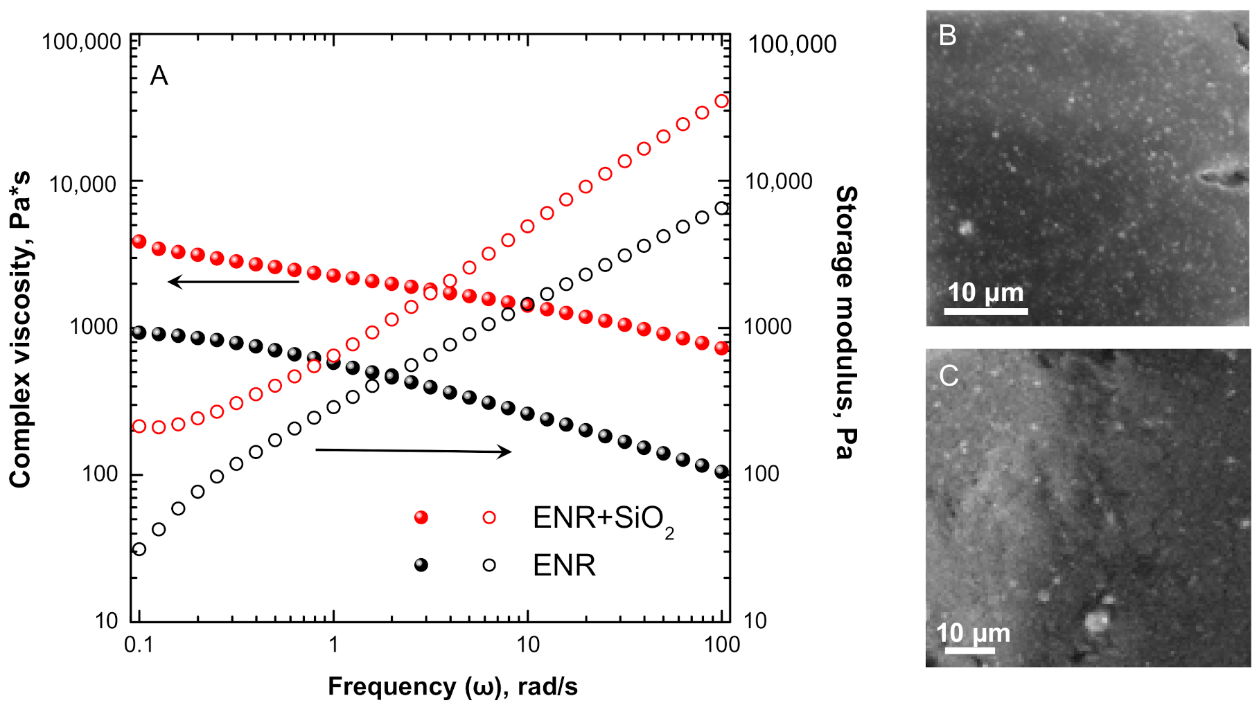 Polymers 13 00276 g002 Polymers 13 00276 g002