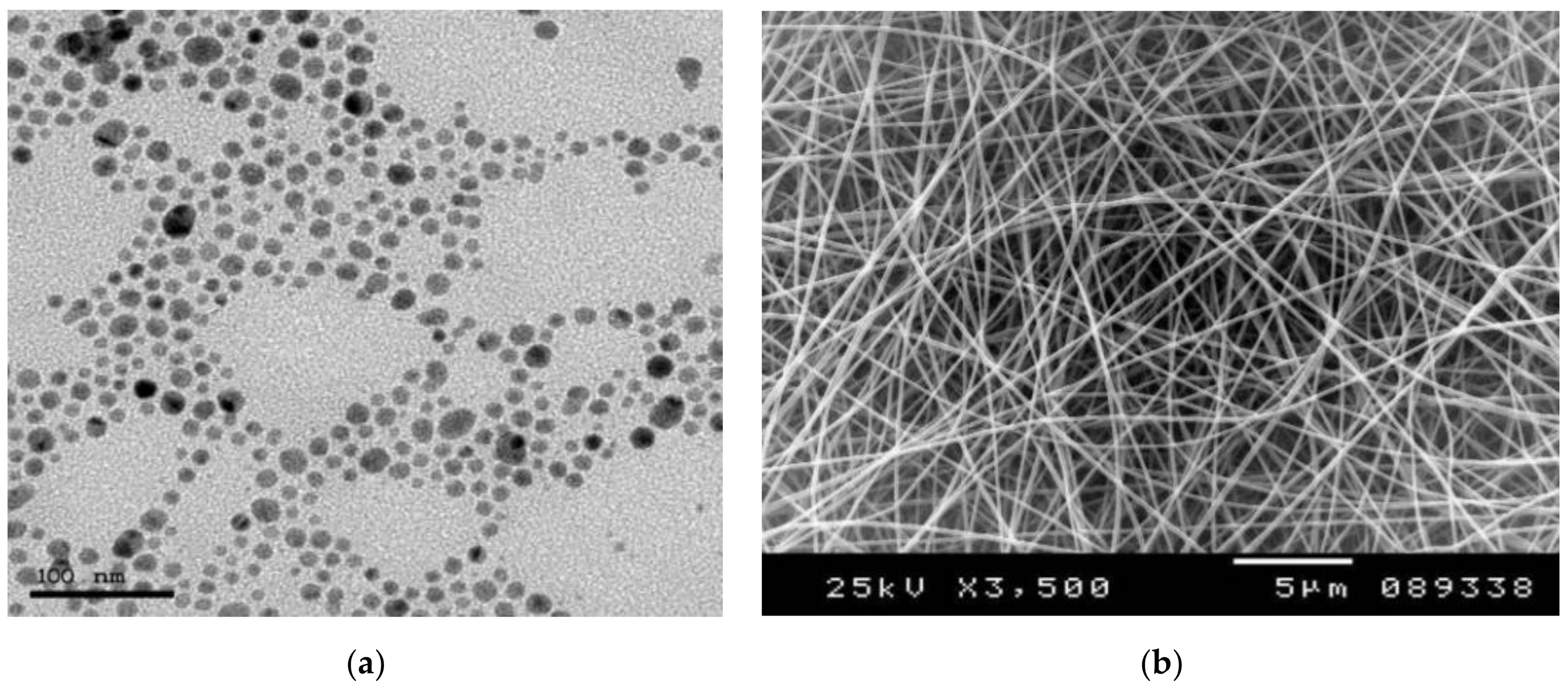 Polymers 13 00277 g002 Polymers 13 00277 g002