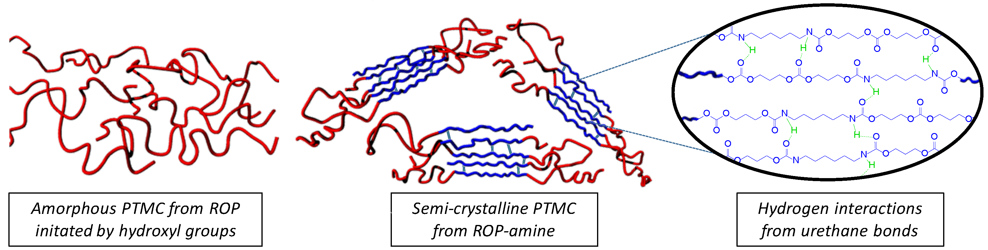 Polymers 13 00280 g007