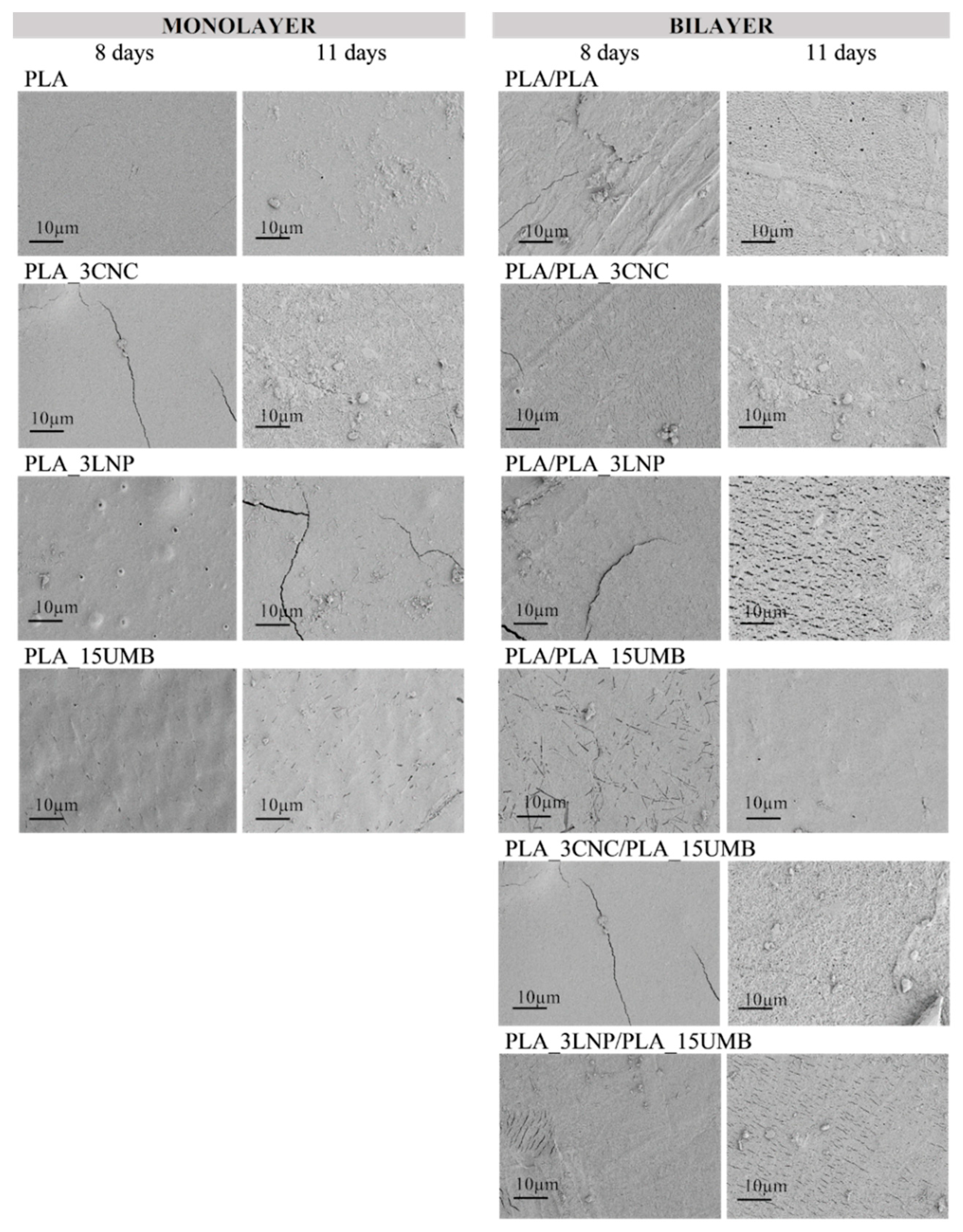 Polymers 13 00282 g004