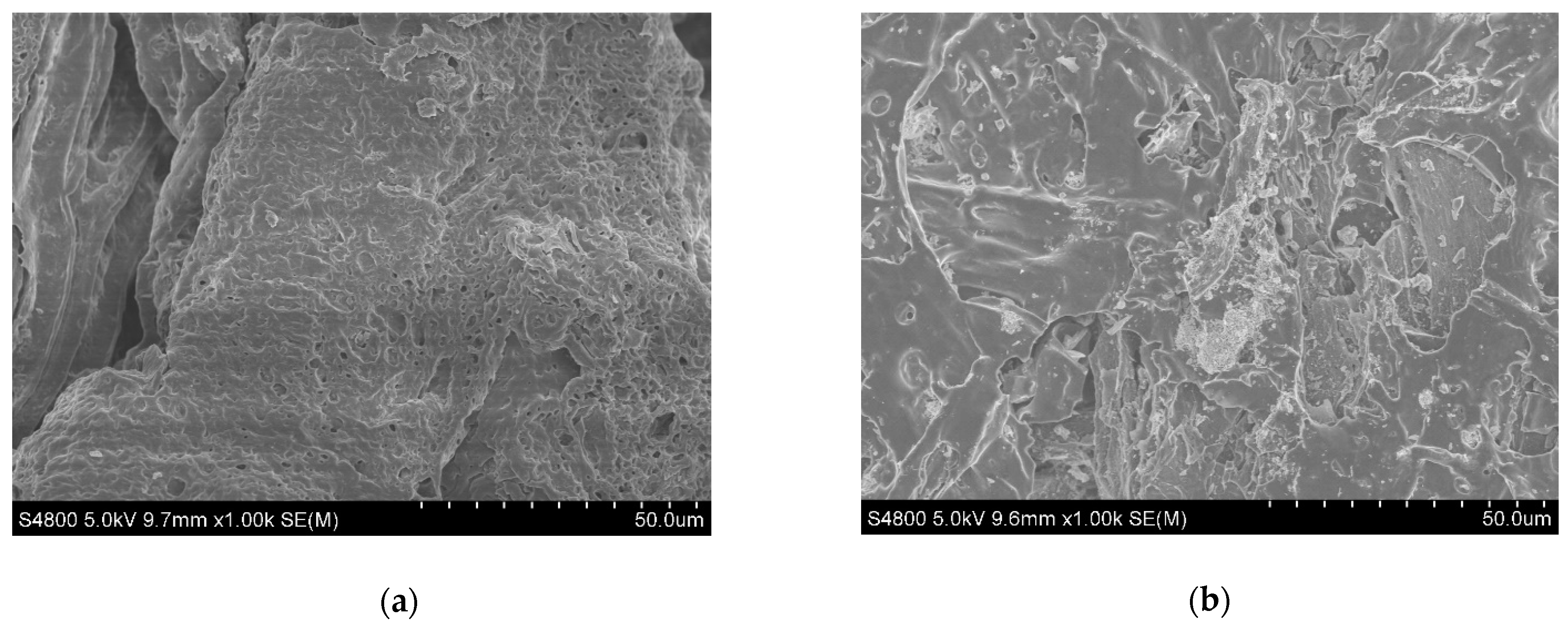 Polymers 13 00283 g003 Polymers 13 00283 g003