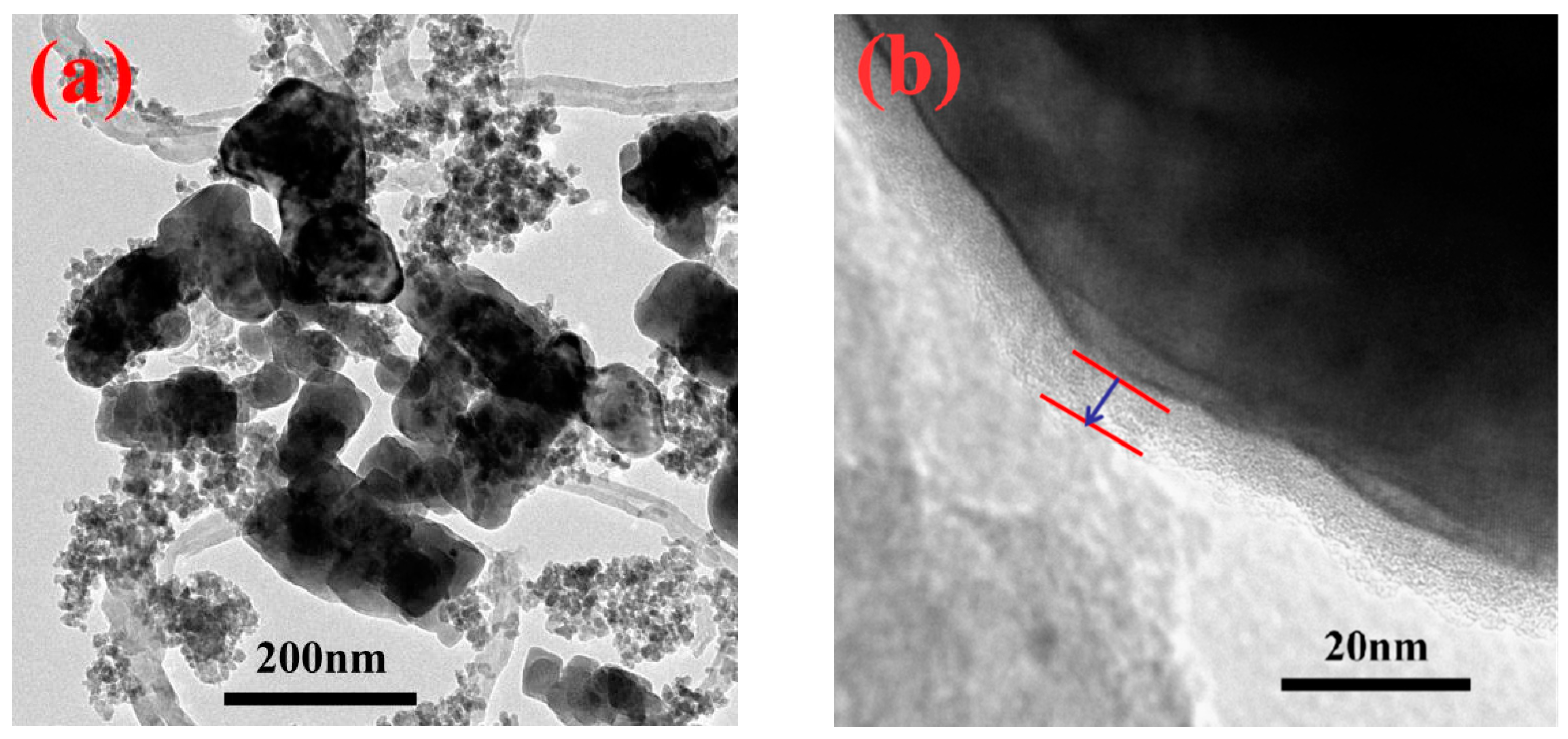 Polymers 13 00285 g005