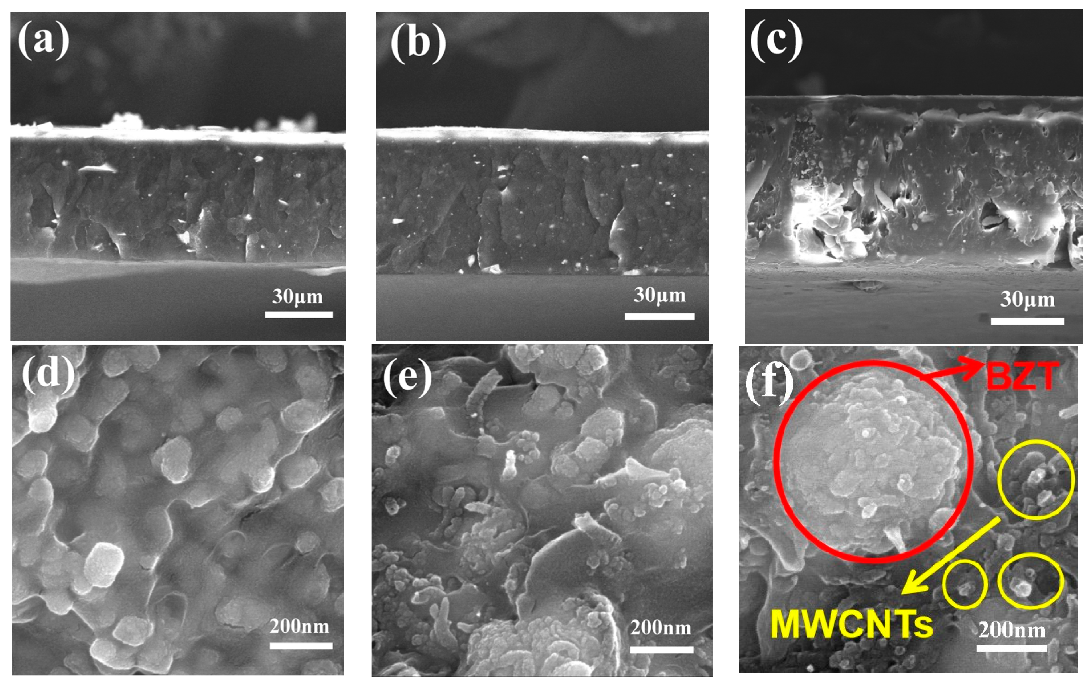 Polymers 13 00285 g006