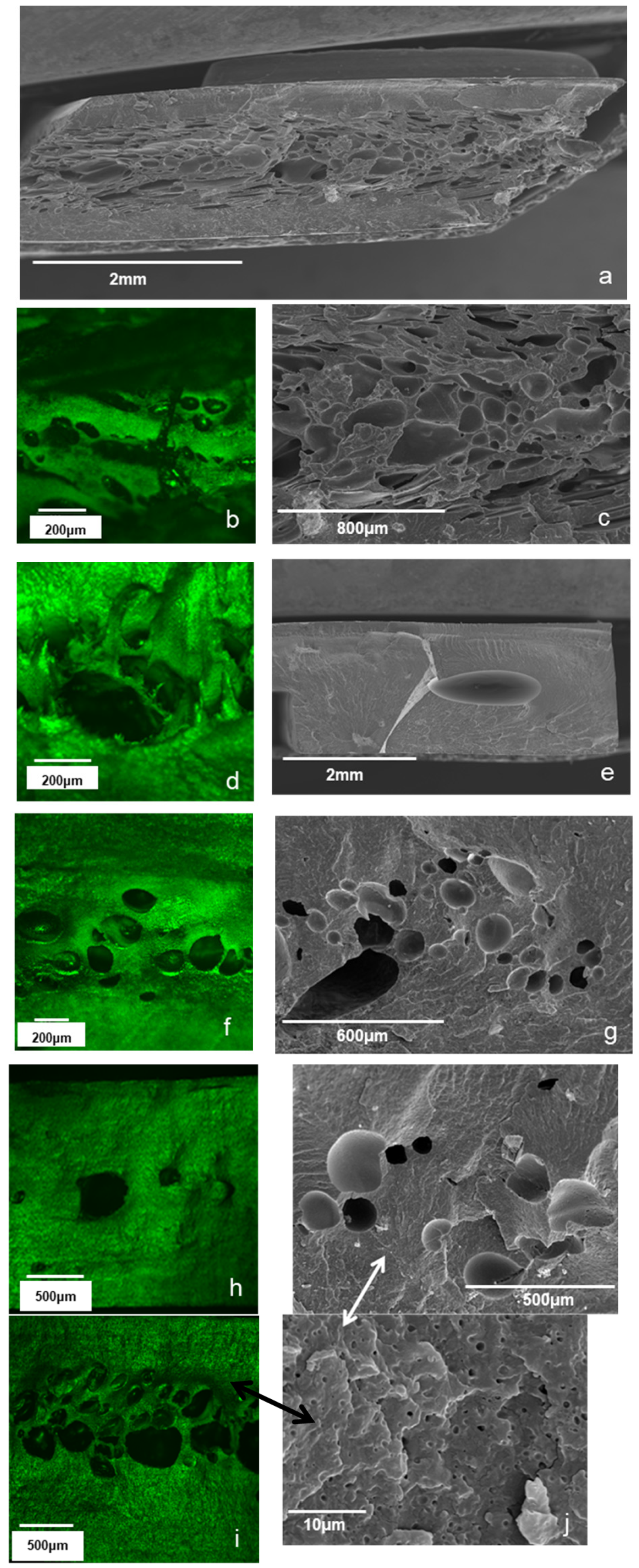 Polymers 13 00288 g002