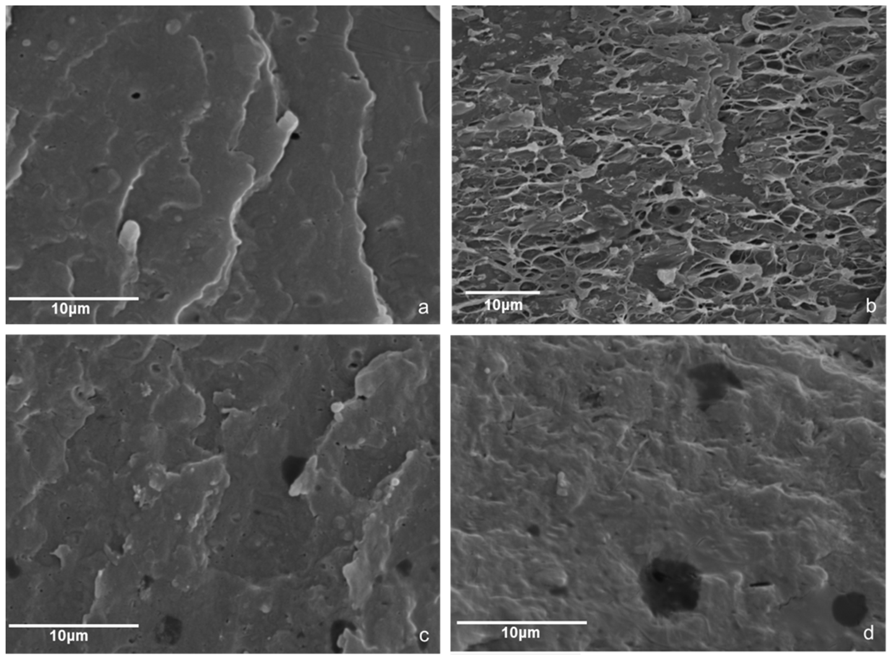 Polymers 13 00288 g003