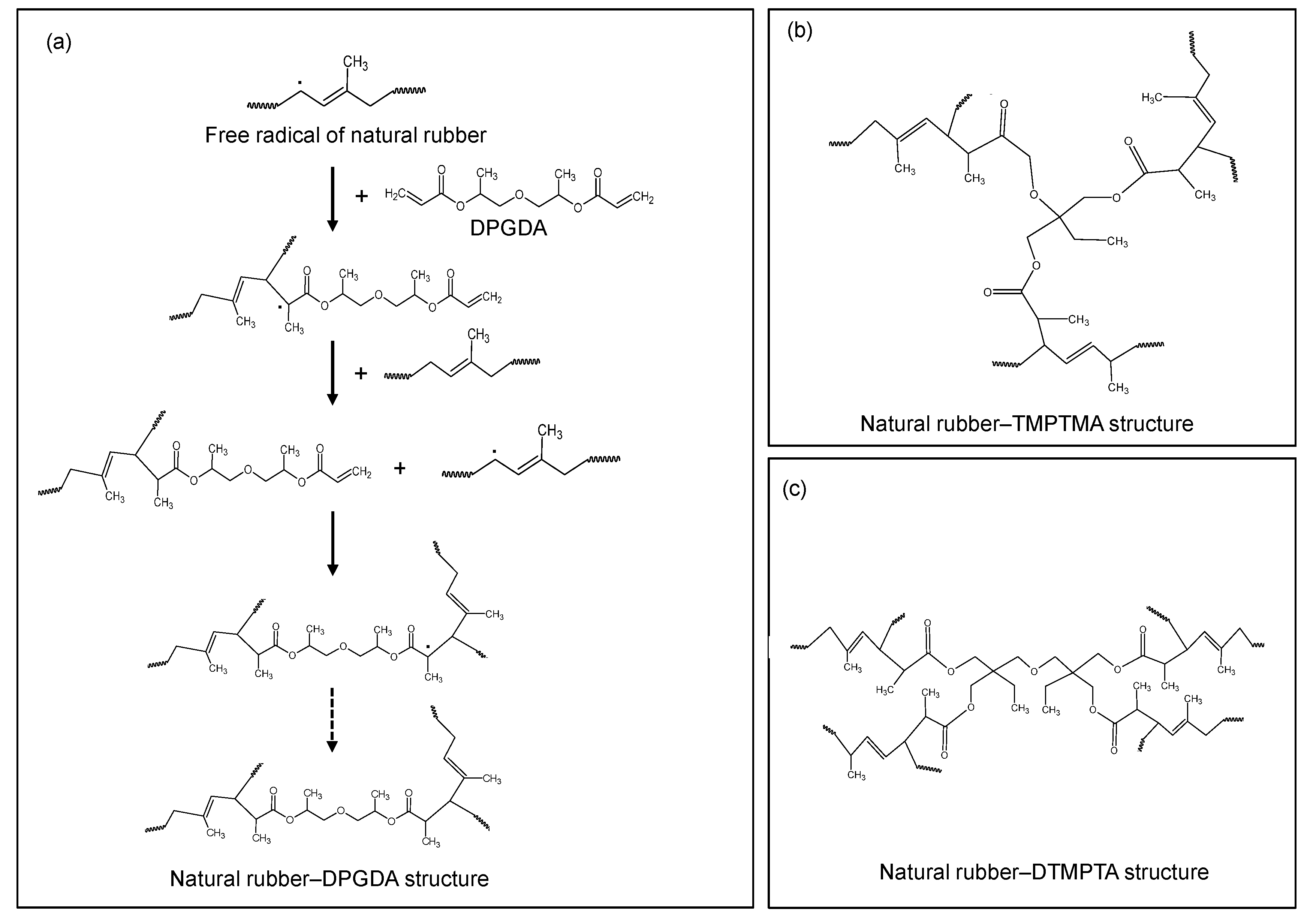 Polymers 13 00289 g006