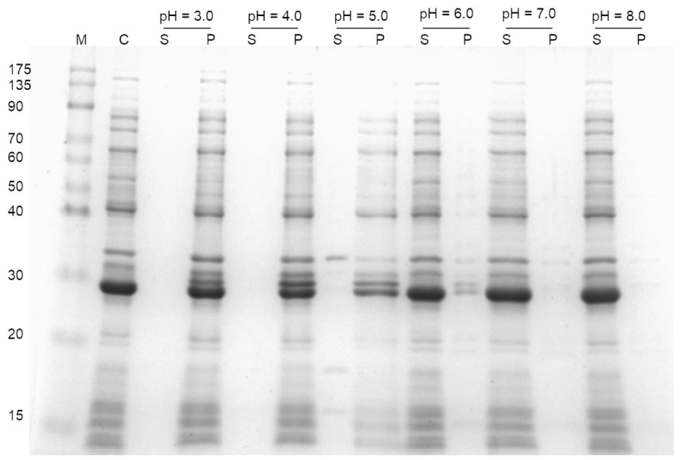 Polymers 13 00290 g001