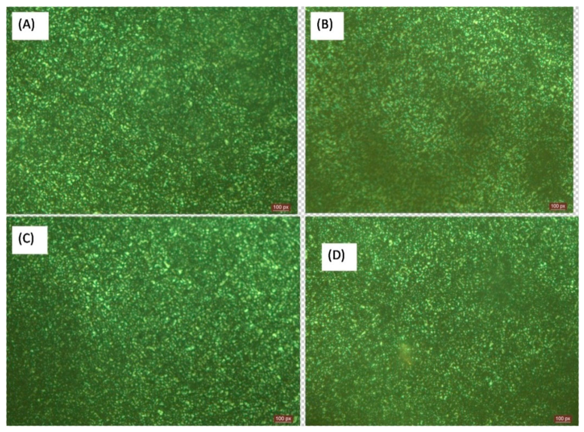 Polymers 13 00299 g006 Polymers 13 00299 g006