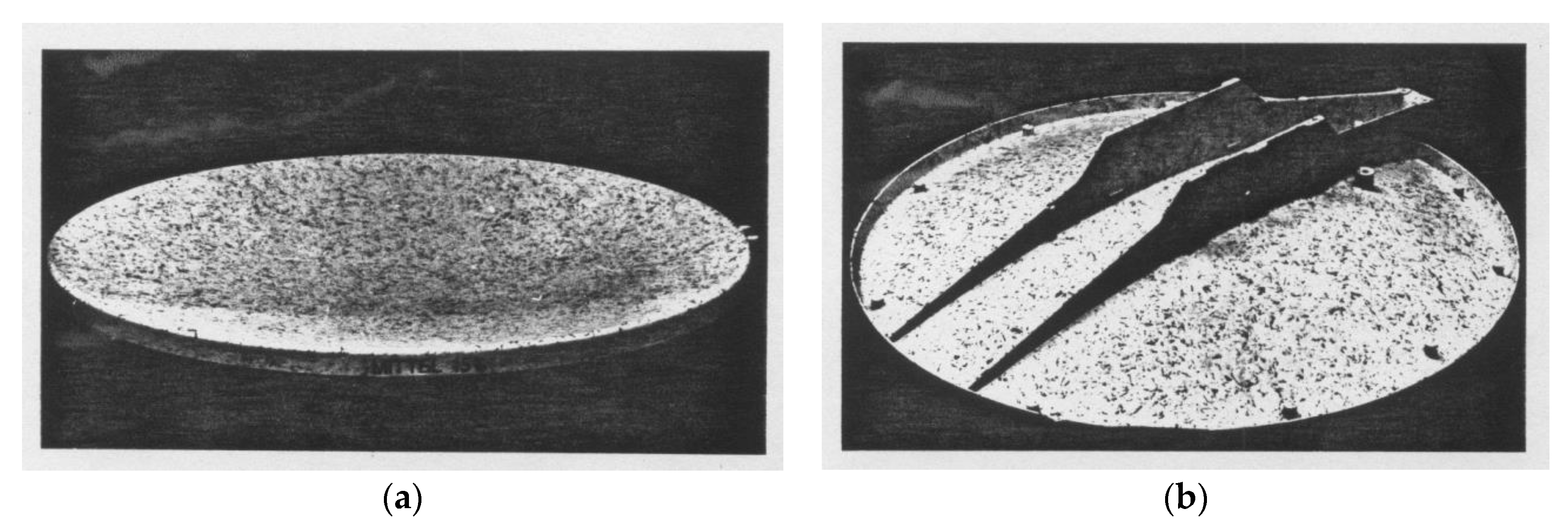Polymers 13 00300 g001