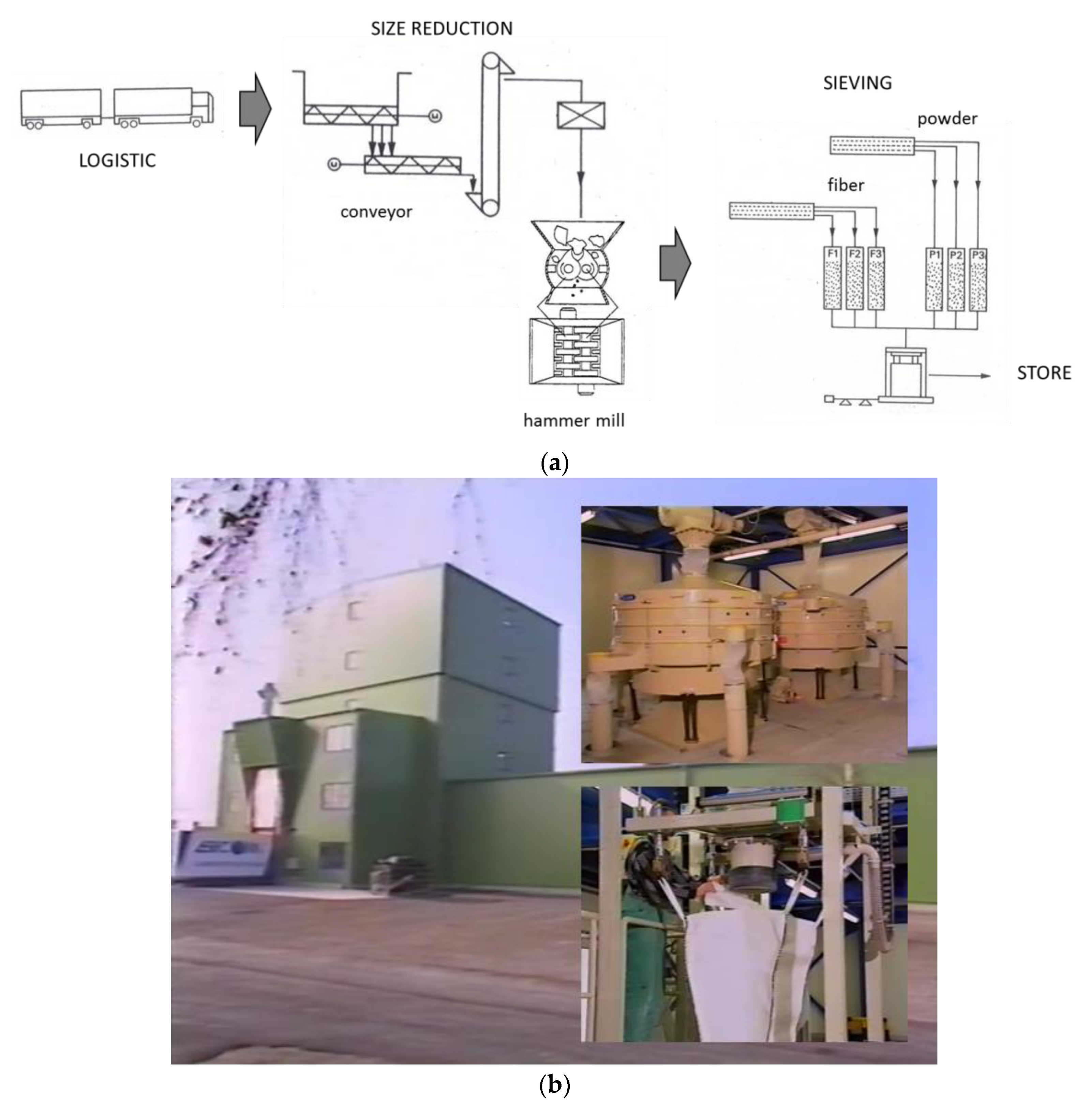 Polymers 13 00300 g003