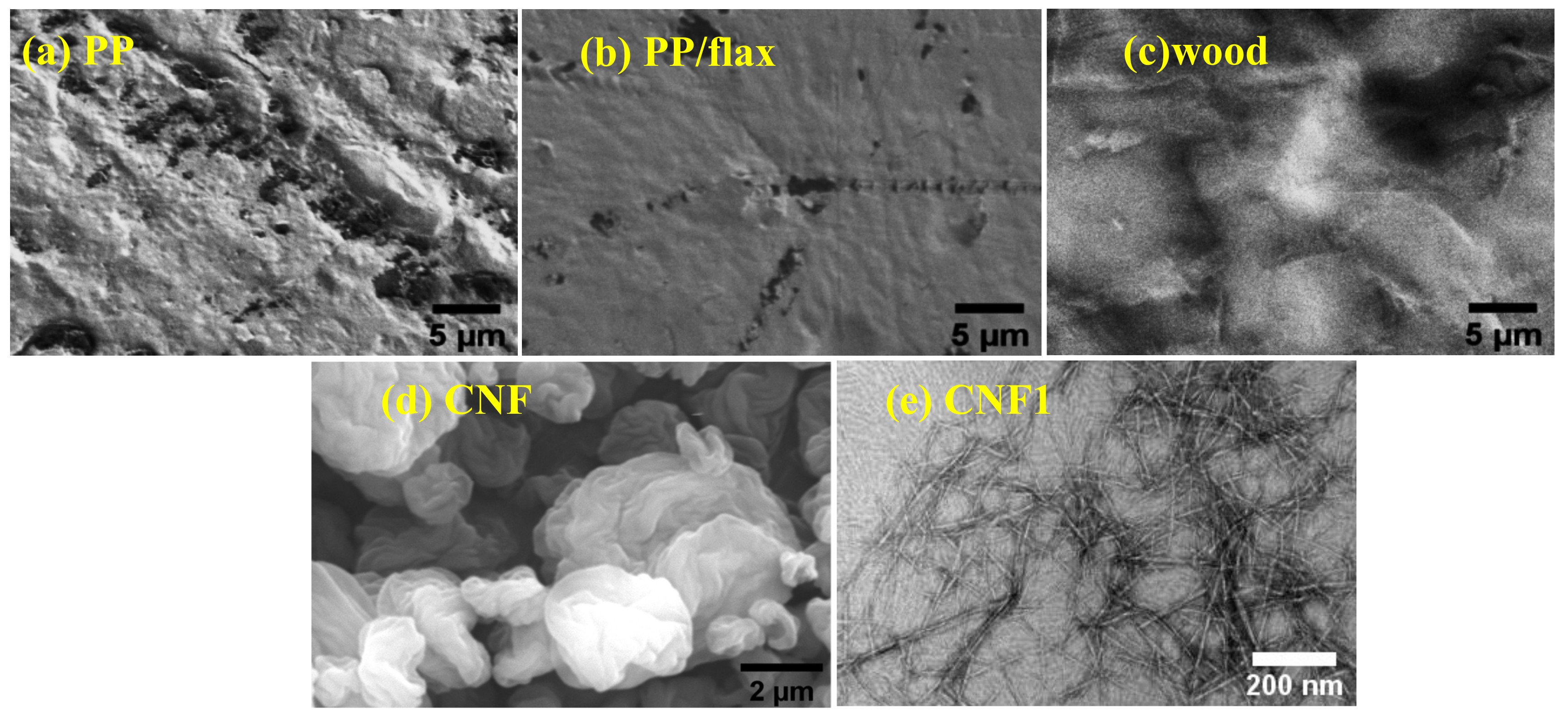 Polymers 13 00303 g002
