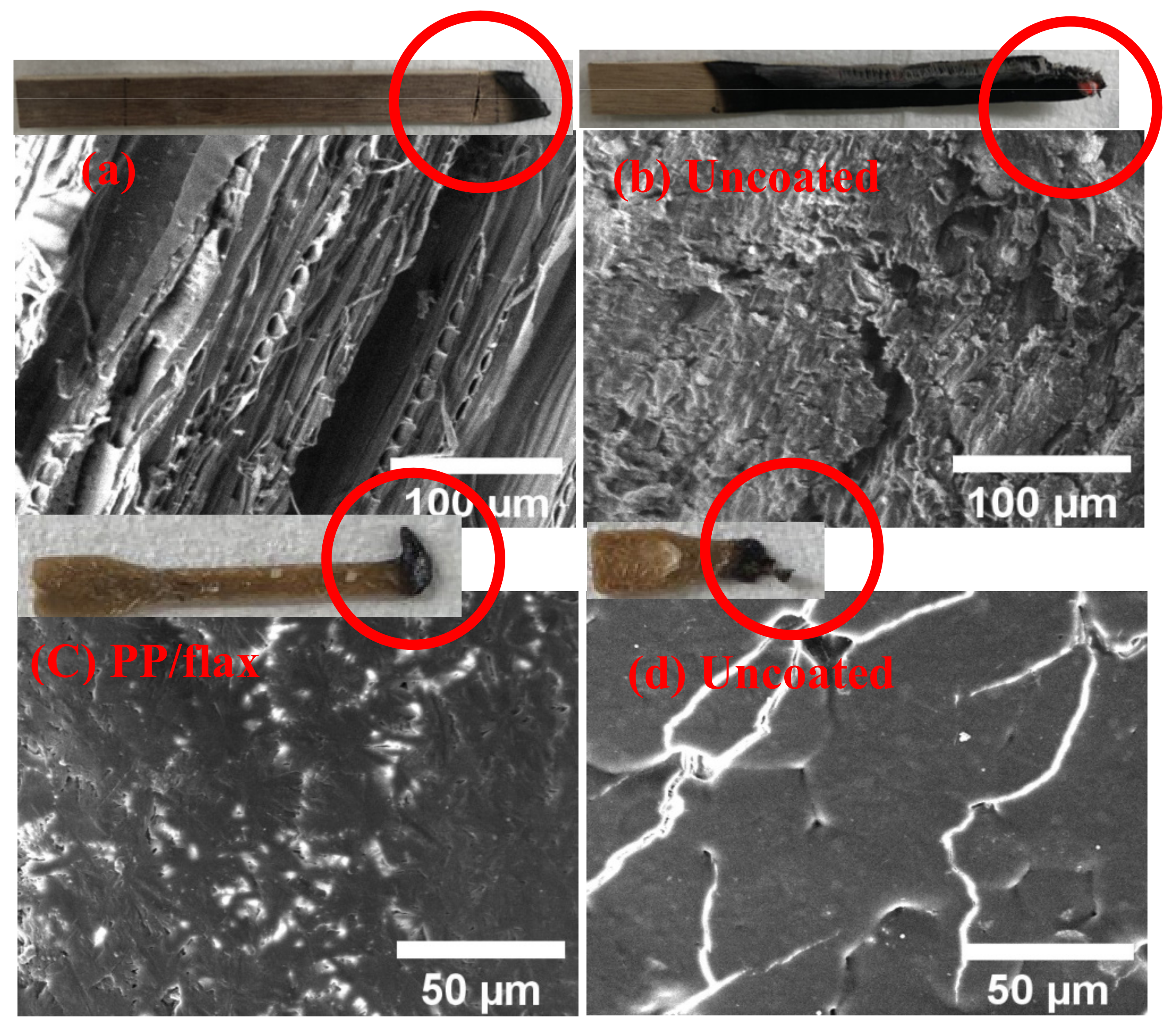 Polymers 13 00303 g010