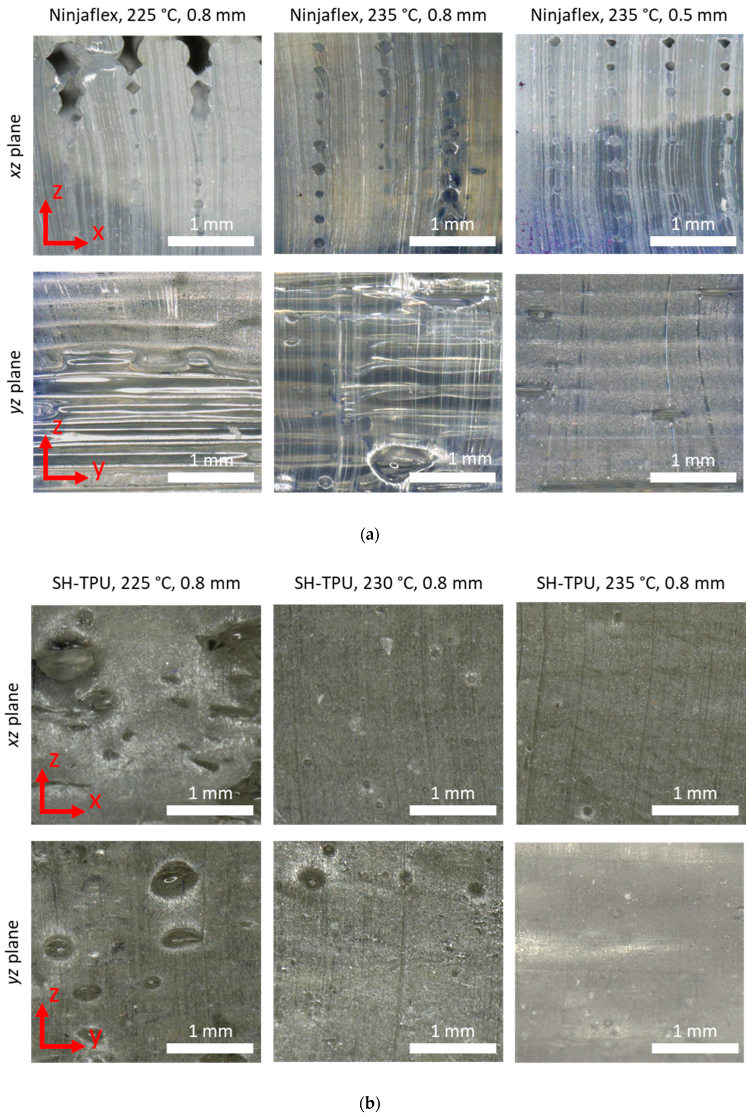 Polymers 13 00305 g009