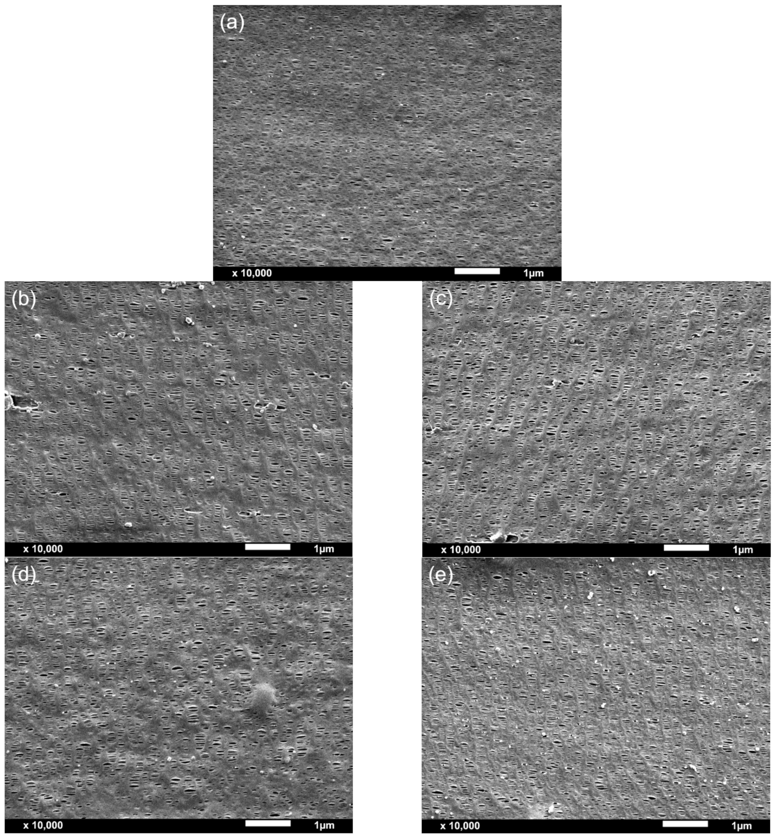Polymers 13 00306 g004